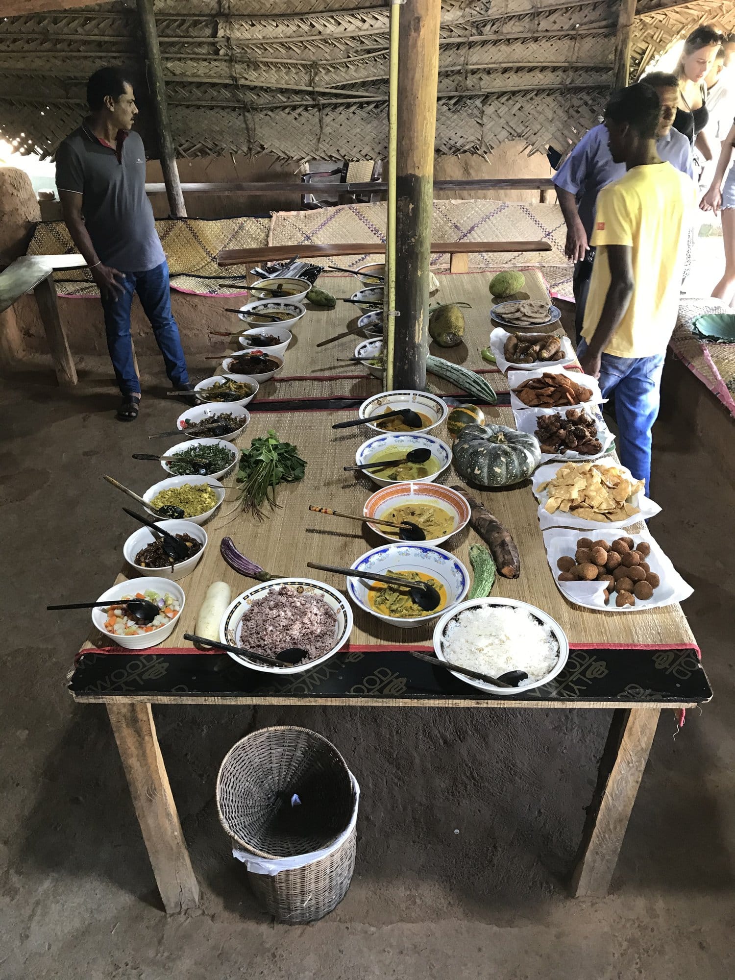 Vast green rice paddies stretch to the horizon surrounding the ruins, capturing the rural landscape of Sri Lanka's interior — Polonnaruwa, Sri Lanka