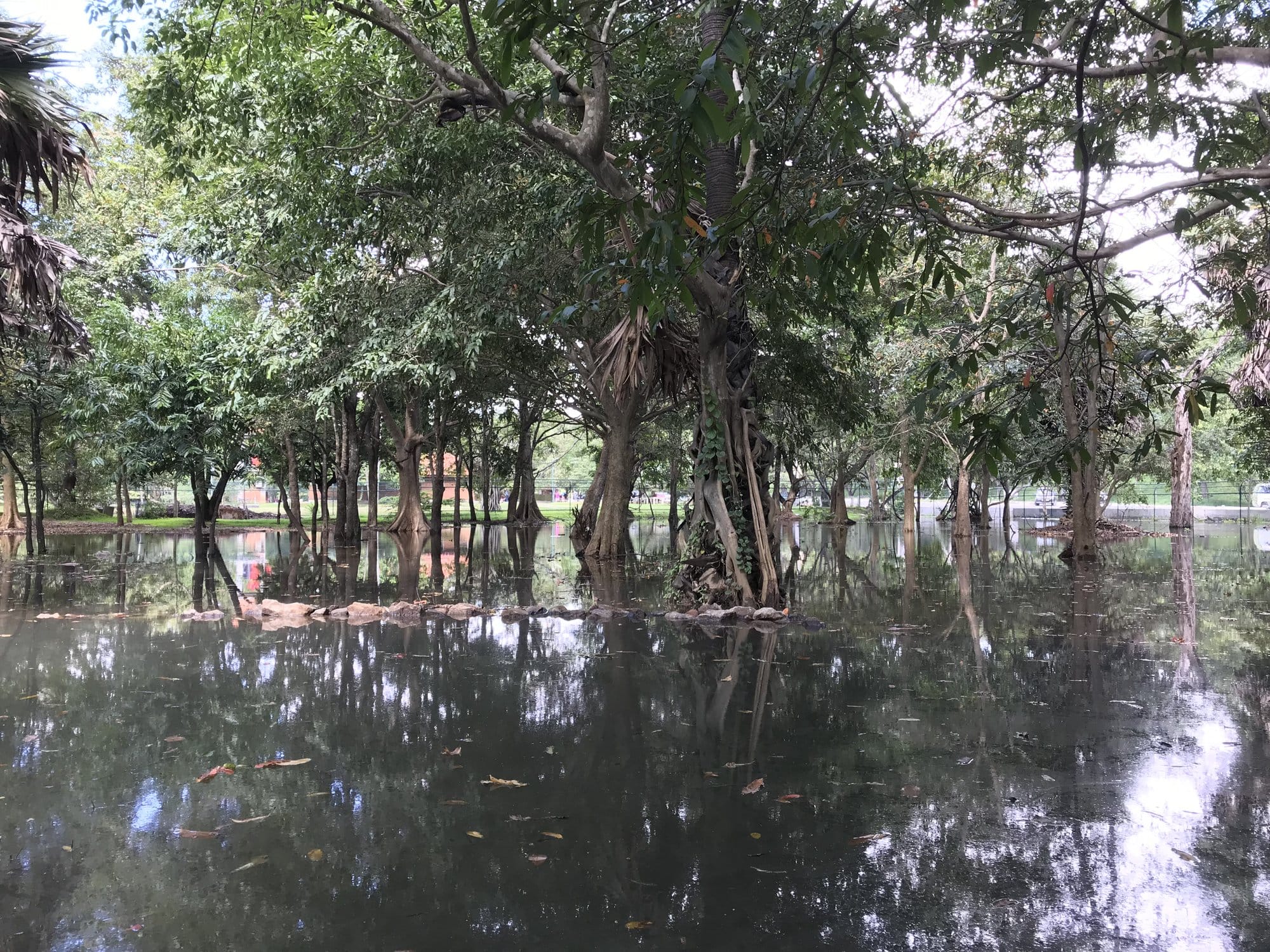The cooking workshop table laden with dozens of small bowls containing spices, pastes, and ingredients used in authentic Sri Lankan curry — Polonnaruwa, Sri Lanka