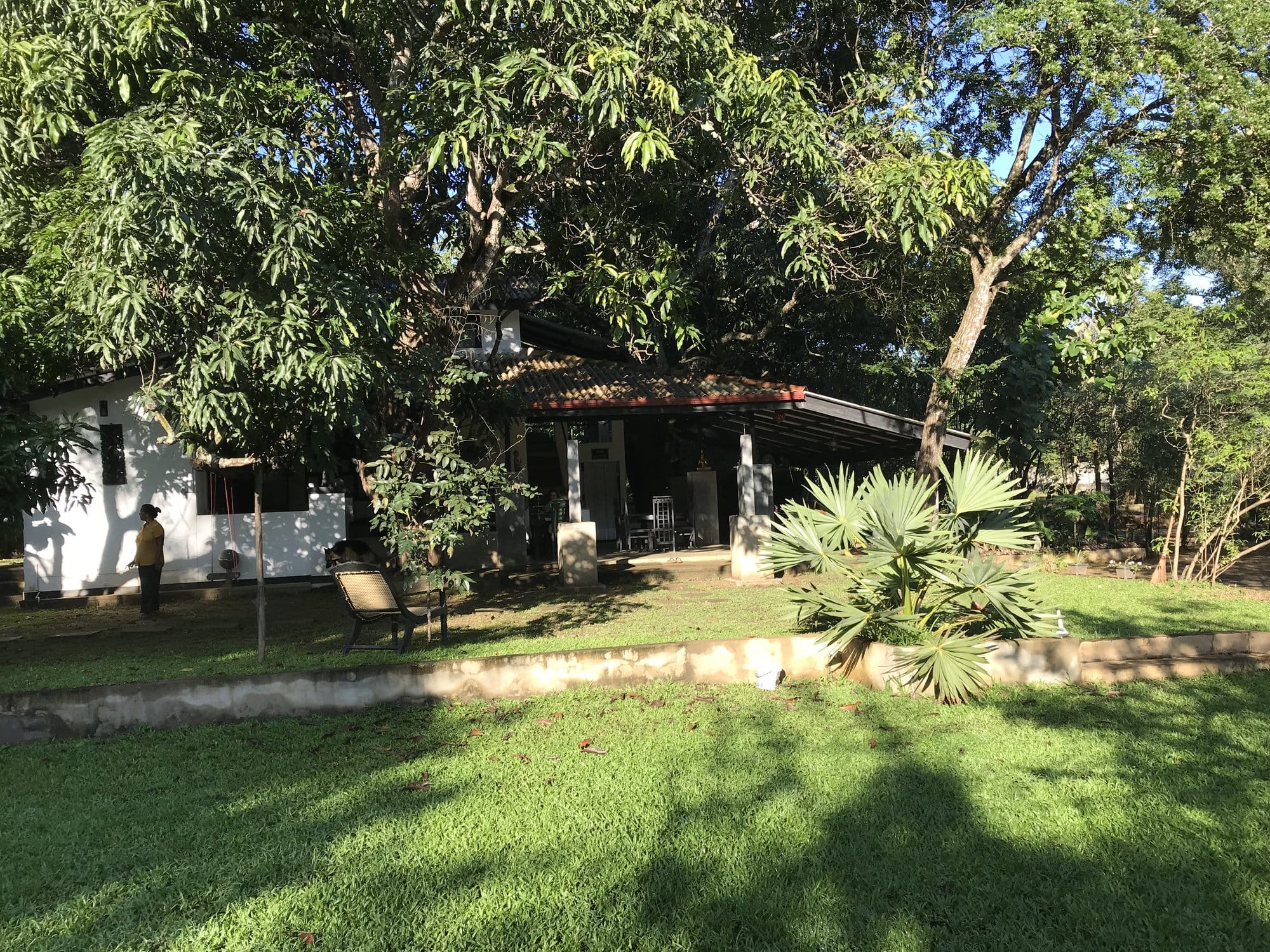 Colorful intercity bus parked roadside, a quintessential Sri Lankan travel sight — Central Province, Sri Lanka