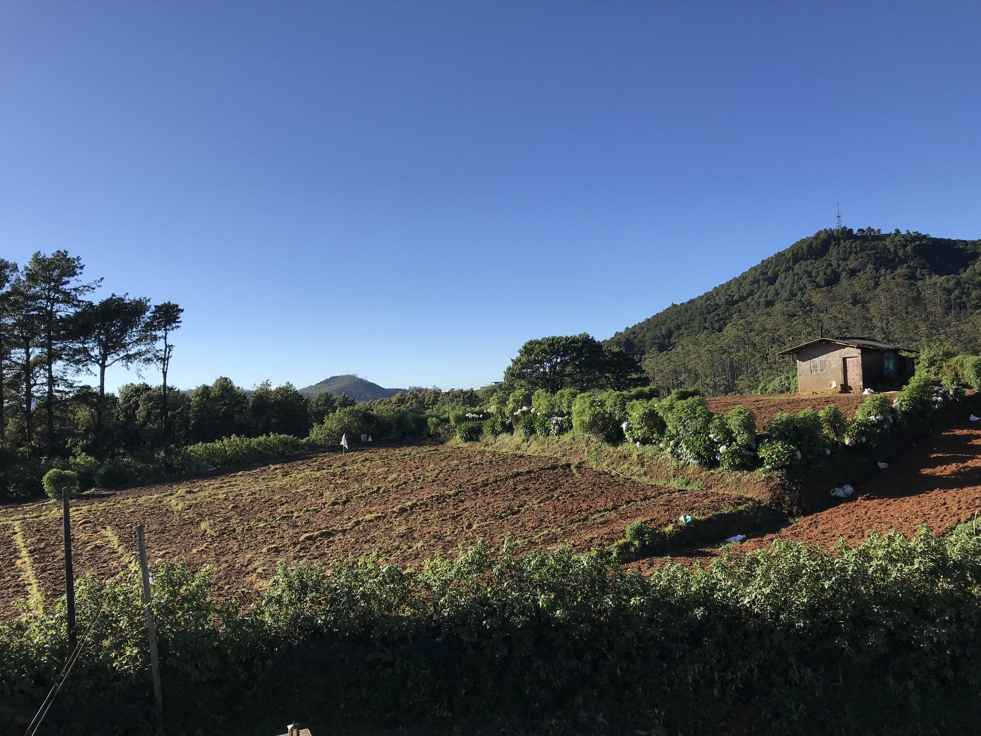 Red clay fields with dramatic green mountain backdrop and colonial-era buildings at 2,000 meters altitude — Nuwara Eliya, Sri Lanka