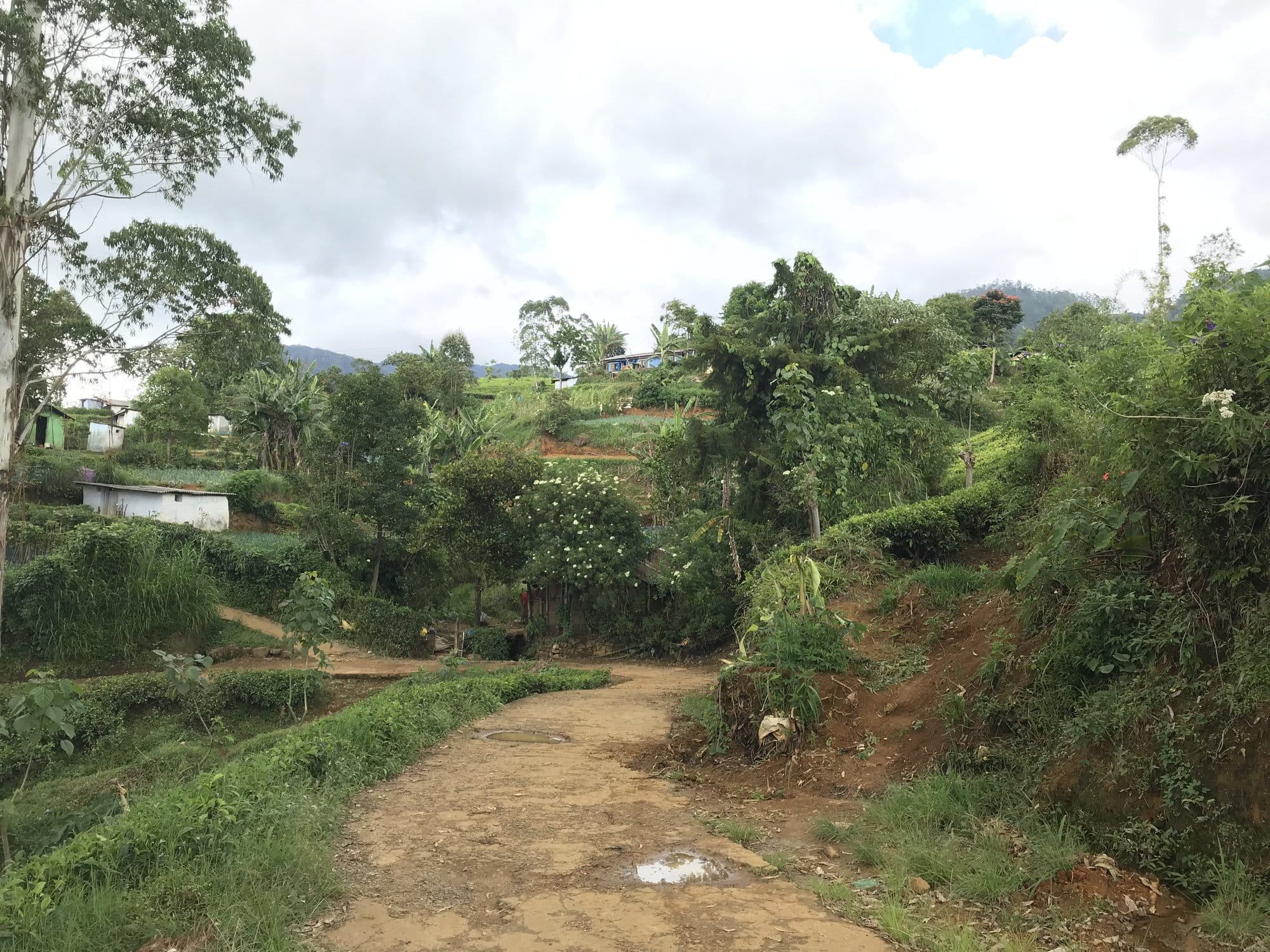 Verdant valley with undulating green hills, scattered buildings and metal rooftops — Hill Country, Sri Lanka