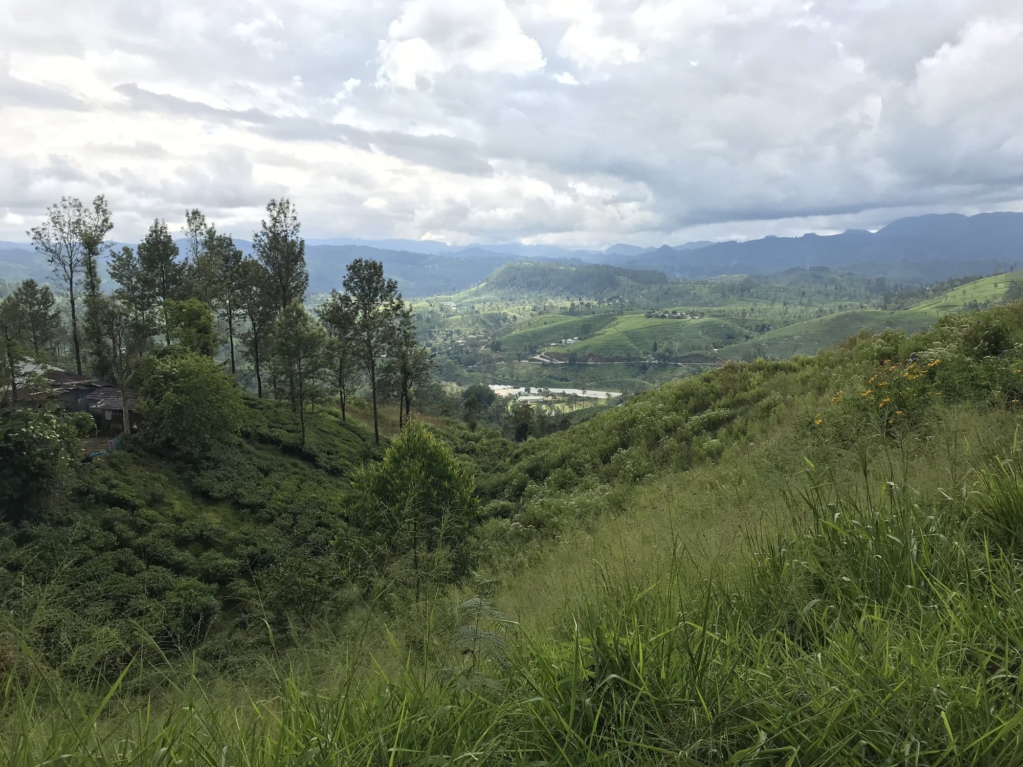 Blue and white passenger trains waiting at a highland station surrounded by lush green hills — Radella, Sri Lanka