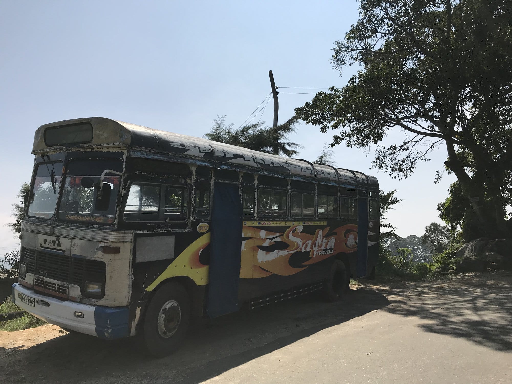 Rolling green tea plantation hills with shade trees under blue sky — Horton Plains, Sri Lanka