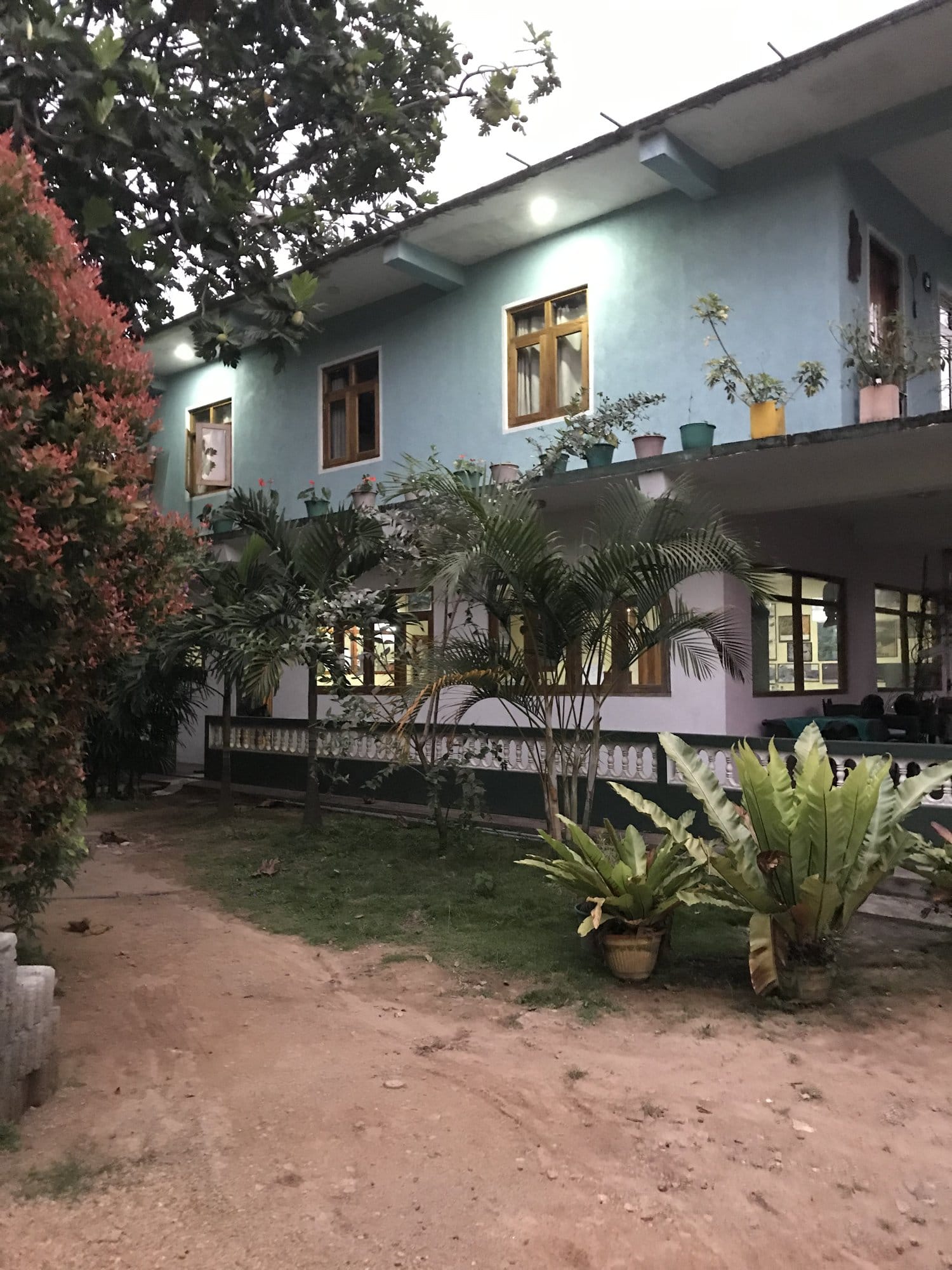 Pale blue colonial guesthouse with tropical garden, banana plants and potted flowers — Ella, Sri Lanka