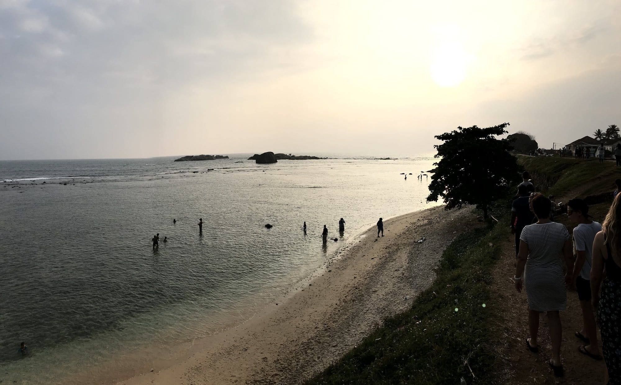 Fresh giant prawns displayed under warm lighting at a Galle seafood market — Galle, Sri Lanka