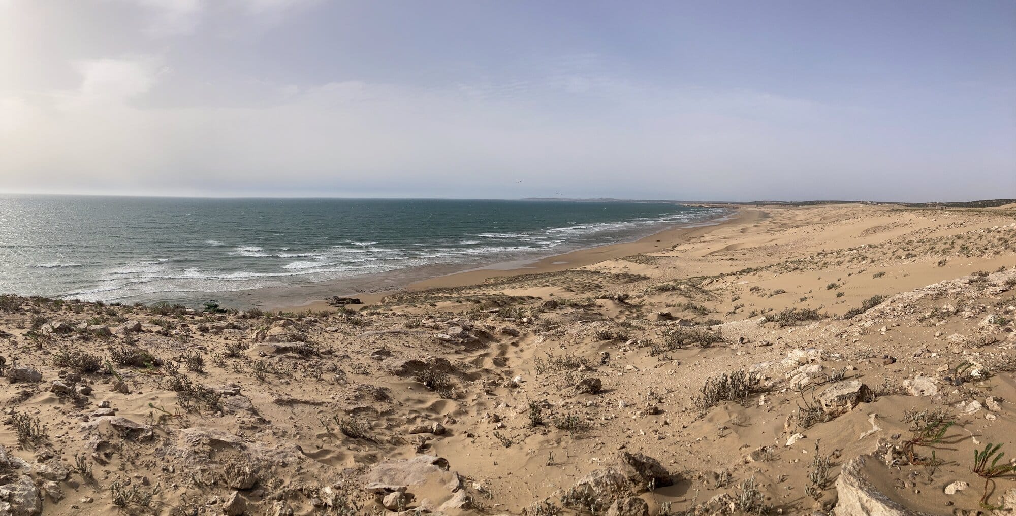 A traditional Moroccan courtyard with cobalt shuttered windows, whitewashed walls and exposed beams near Sidi Kaouki — Smimou, Morocco