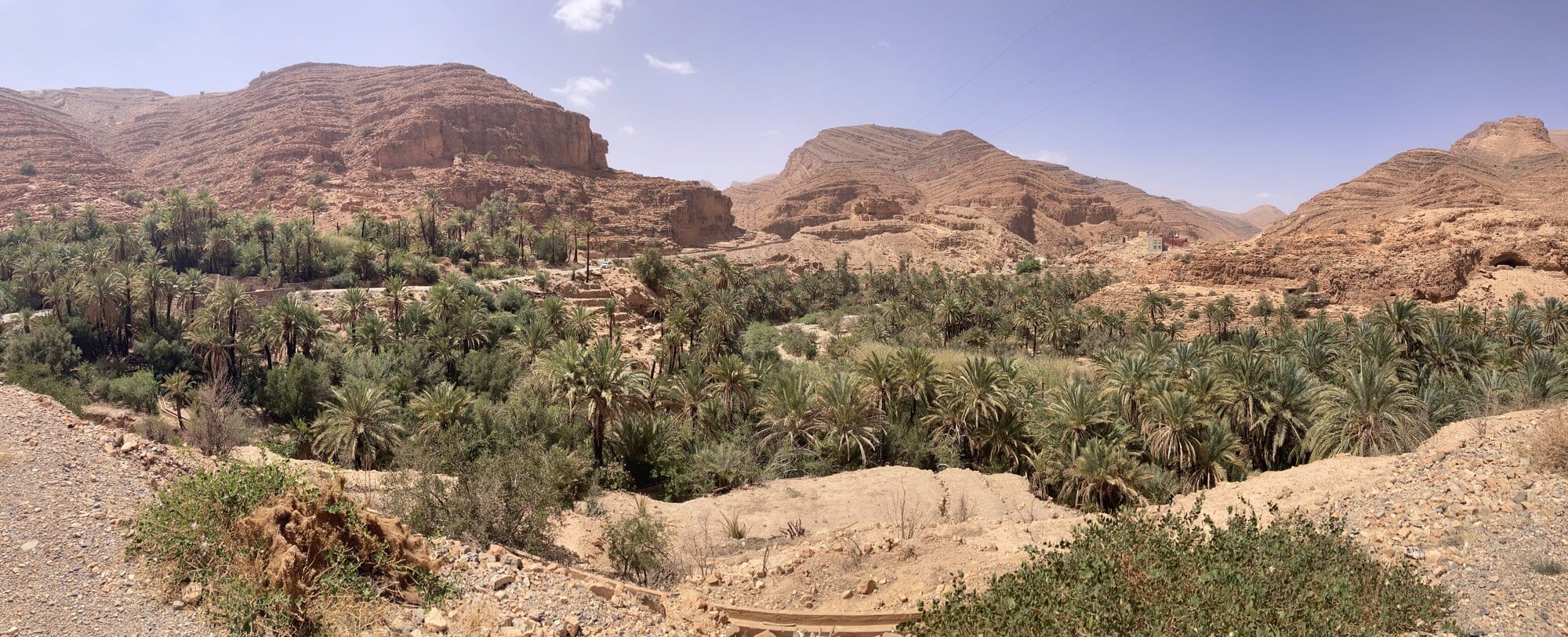 A green palm oasis in the floor of the red-walled Amtoudi canyon — Anti-Atlas, Morocco