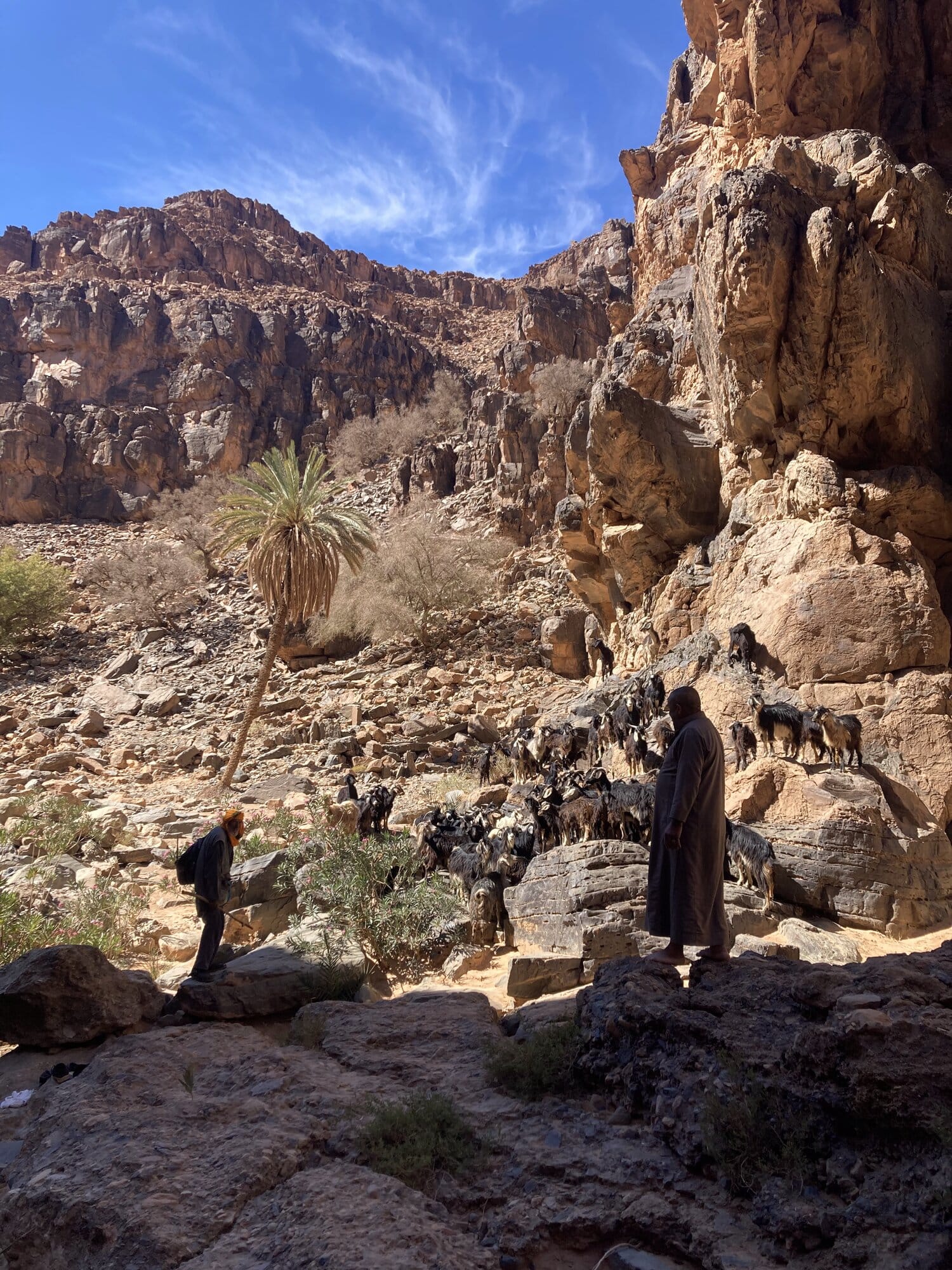 An emerald-green natural pool between red canyon walls with a swimmer mid-leap from the cliffs — Aït Mansour canyon, Morocco