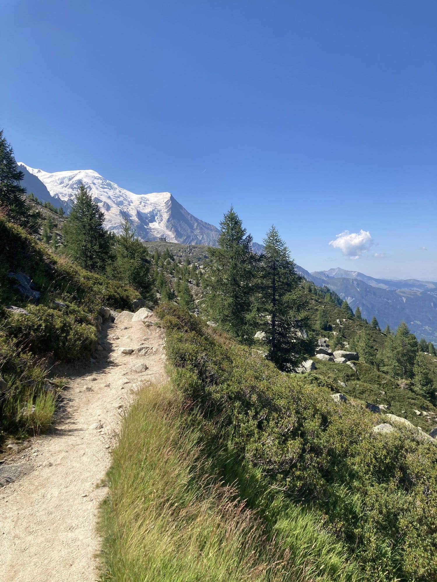 Alpine hiking trail at 2,114m with a view of the snow-capped Mont-Blanc massif through pine trees — Chamonix-Mont-Blanc, France