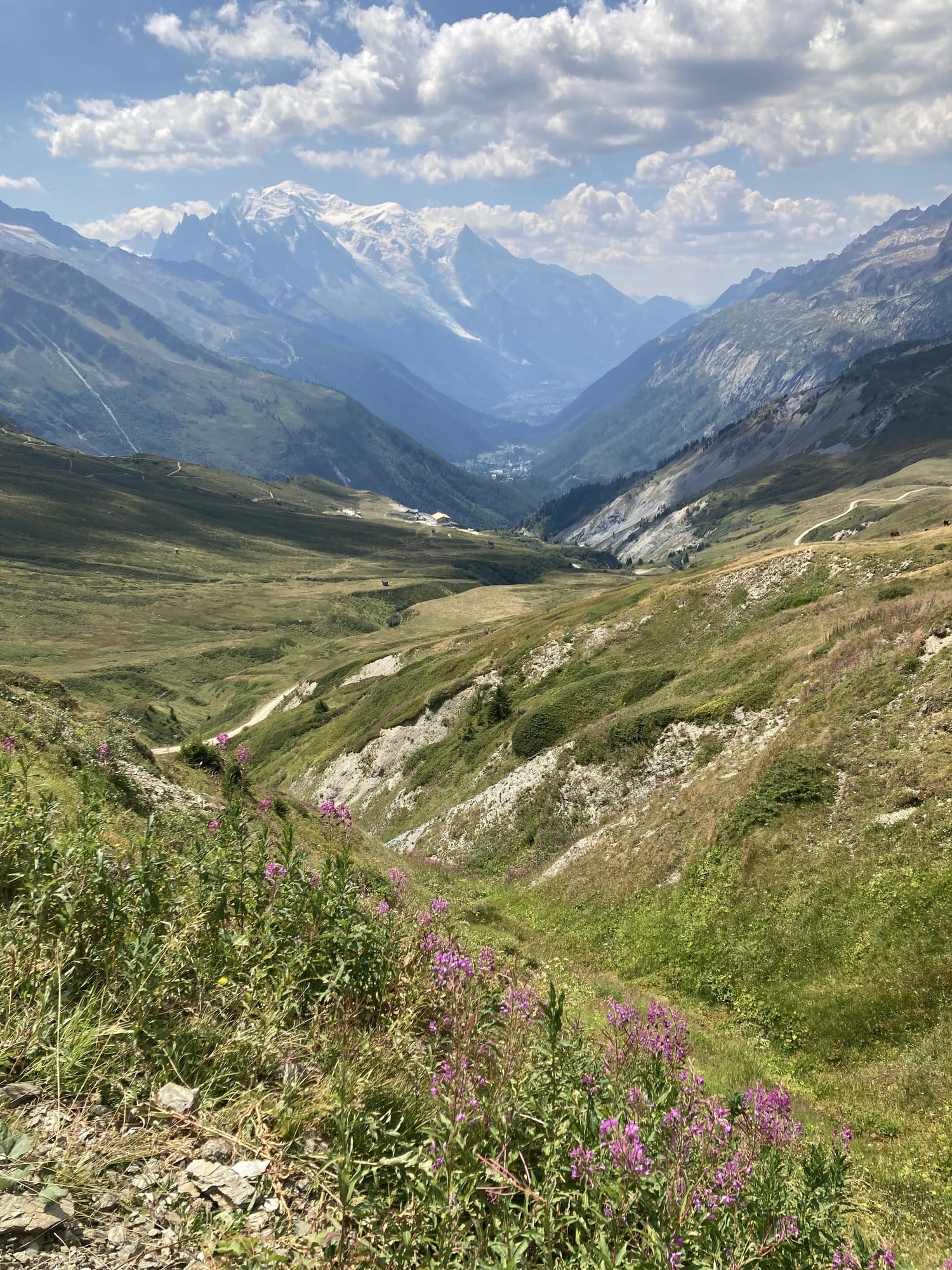 Alpine hiking trail bordered by pink fireweed flowers with a green valley descending toward the Mont-Blanc massif in the background — Saint-Gervais, France