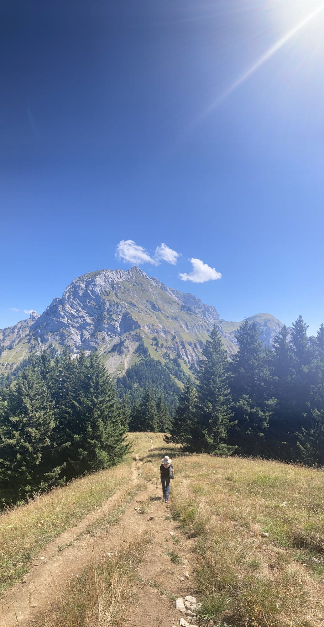 Hiker walking alone on a mountain trail toward an imposing peak, flanked by conifer forests on both sides — above Lac d'Annecy, France