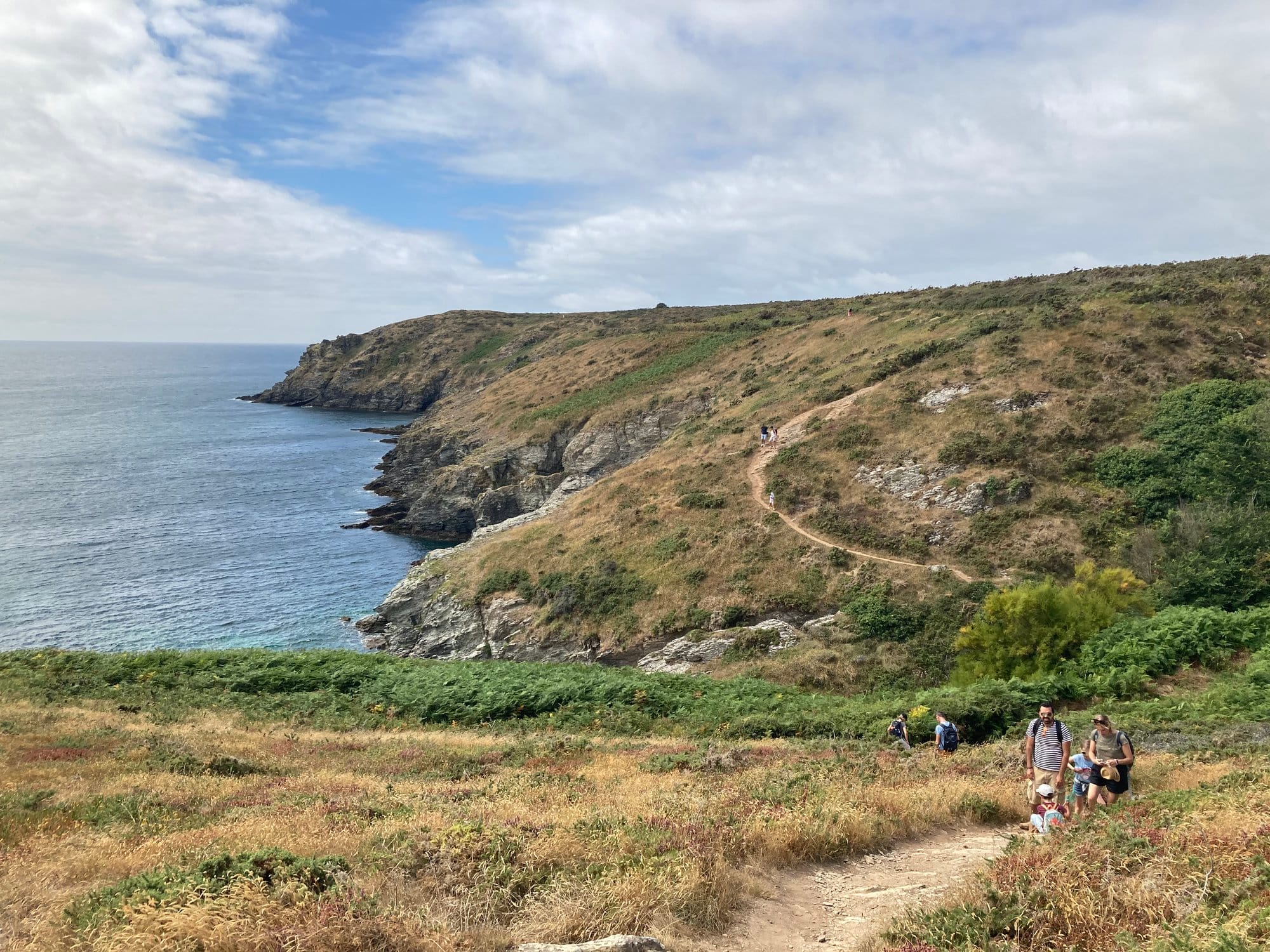 Dramatic coastal path winding along the Côte Sauvage, green-topped cliffs dropping to the Atlantic, walkers in the distance on the trail