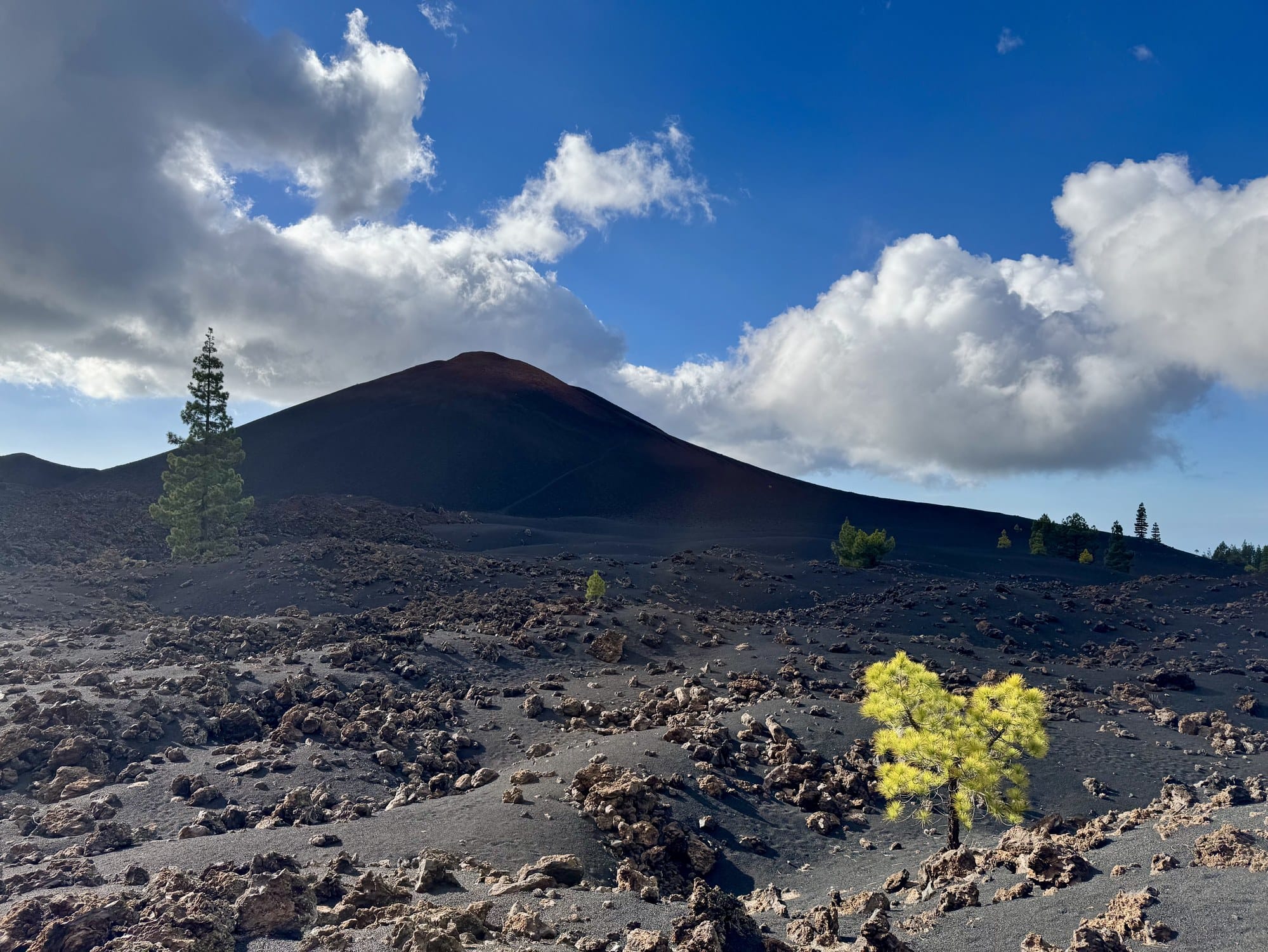 Montaña Chinyero rising above a black lava field dotted with pine trees — Teide National Park, Tenerife