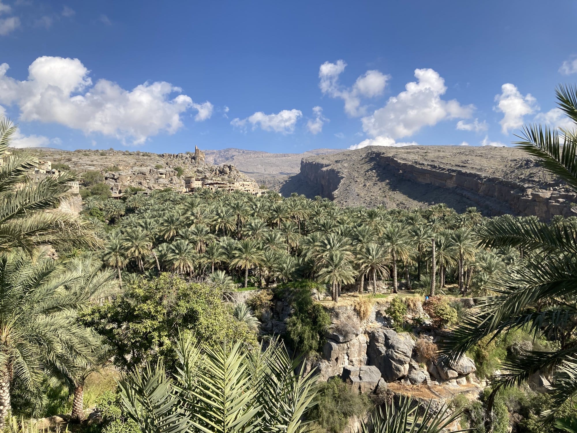 The lush palm oasis of Misfat al Abriyyin with ancient stone village ruins clinging to the mountainside — Bahlā', Oman