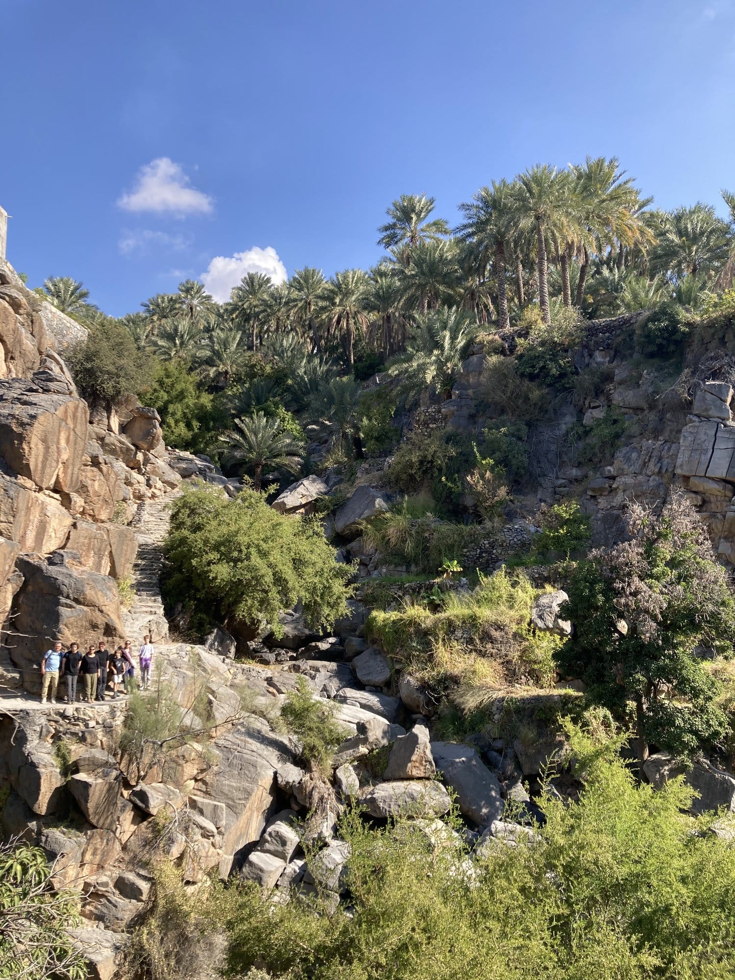 Rocky stairway through the palm-filled canyon with ancient terraces — Misfat al Abriyyin, Oman