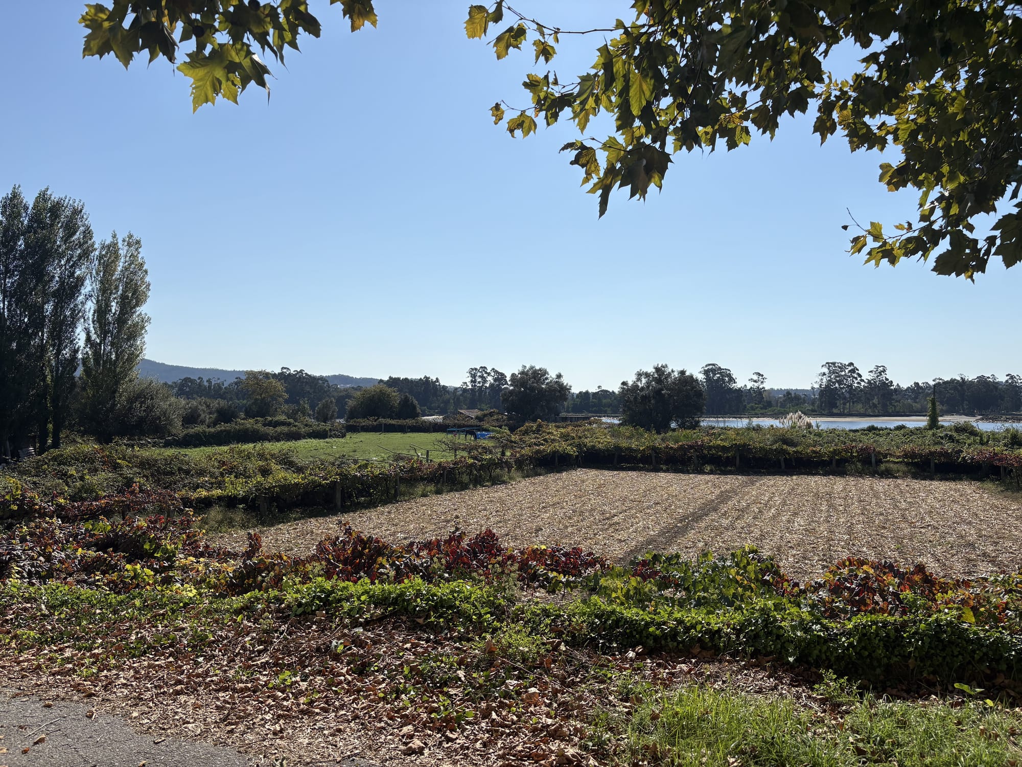 Rural landscape with plowed fields and the Rio Lima — Darque, Viana do Castelo