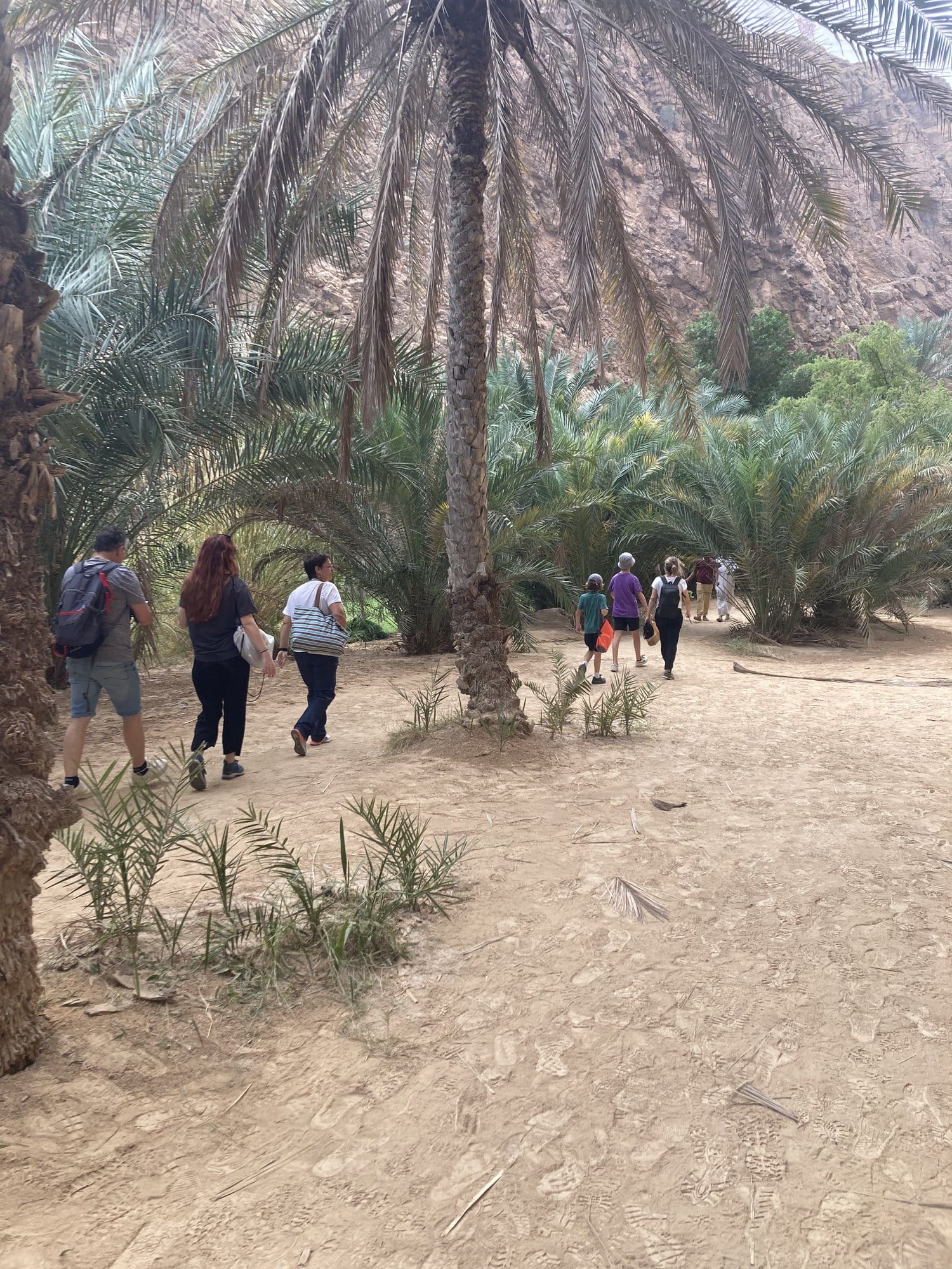 Group walking under tall palm trees along the sandy wadi path — Wadi Shab, Oman