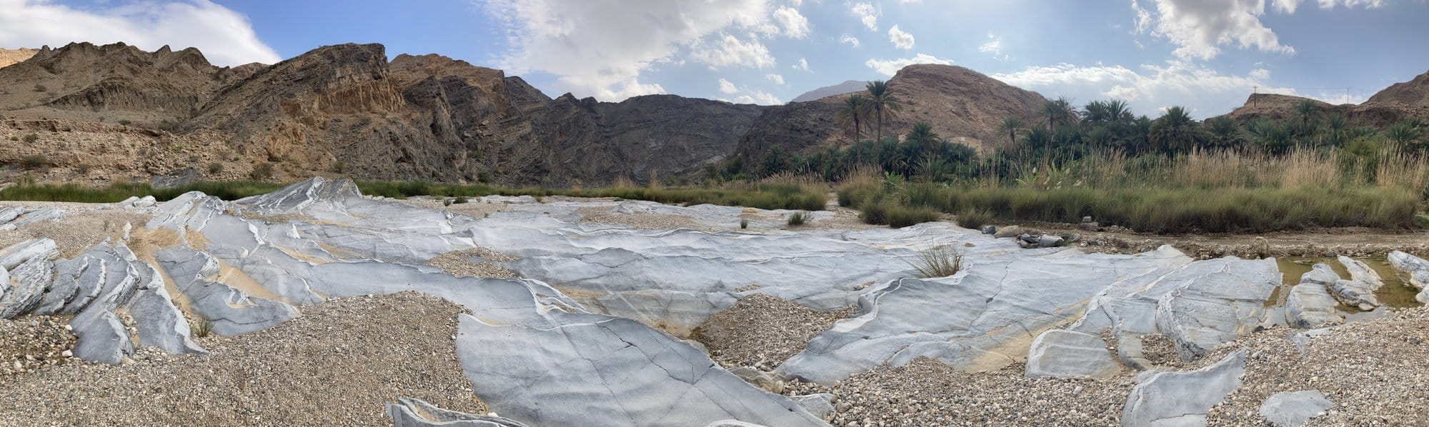 Panoramic white limestone formations in a dry riverbed with palm trees and mountains — Al Qābil, Oman
