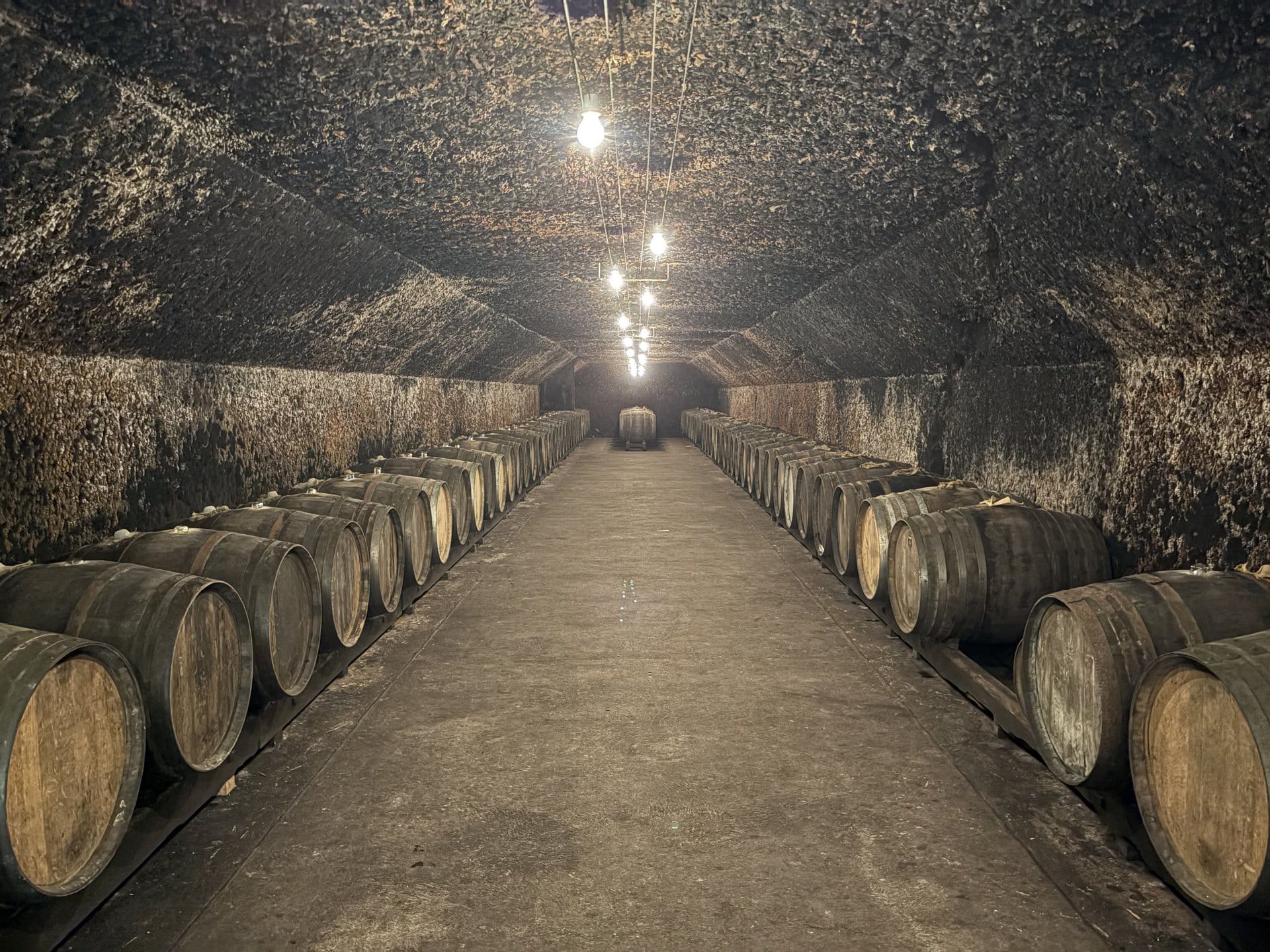 A tuffeau cellar carved into the hill, oak barrels lined up on stone shelves, gravel floor lit by ground lamps — Domaine du Clos Naudin, Vouvray