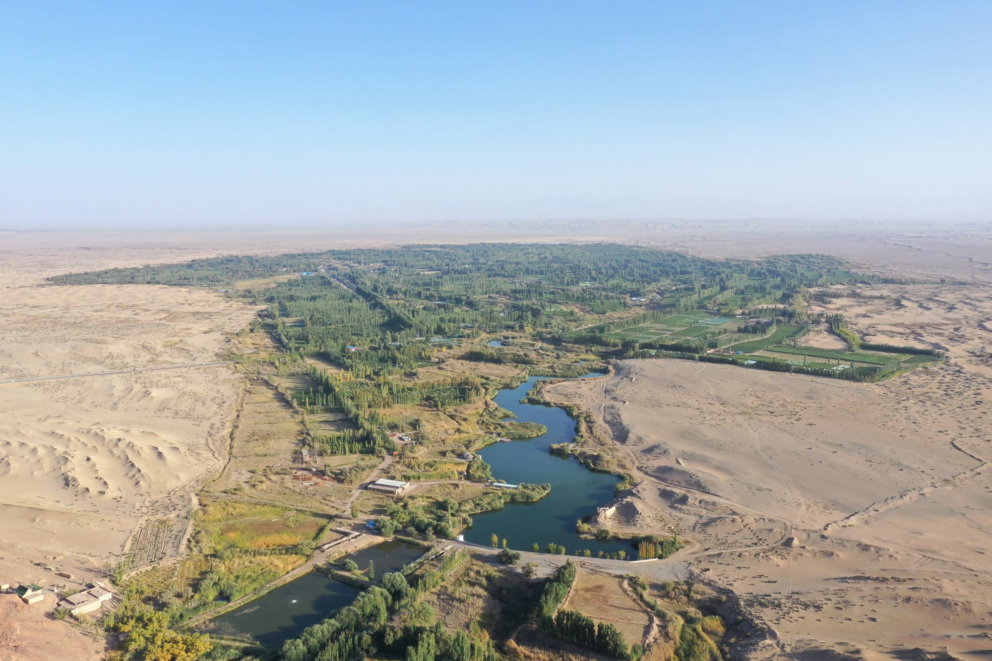 Aerial view of the oasis: a line of trees, turquoise ponds and cultivated fields, cut off on every side by desert. Shot with a DJI Mavic 2 Pro.