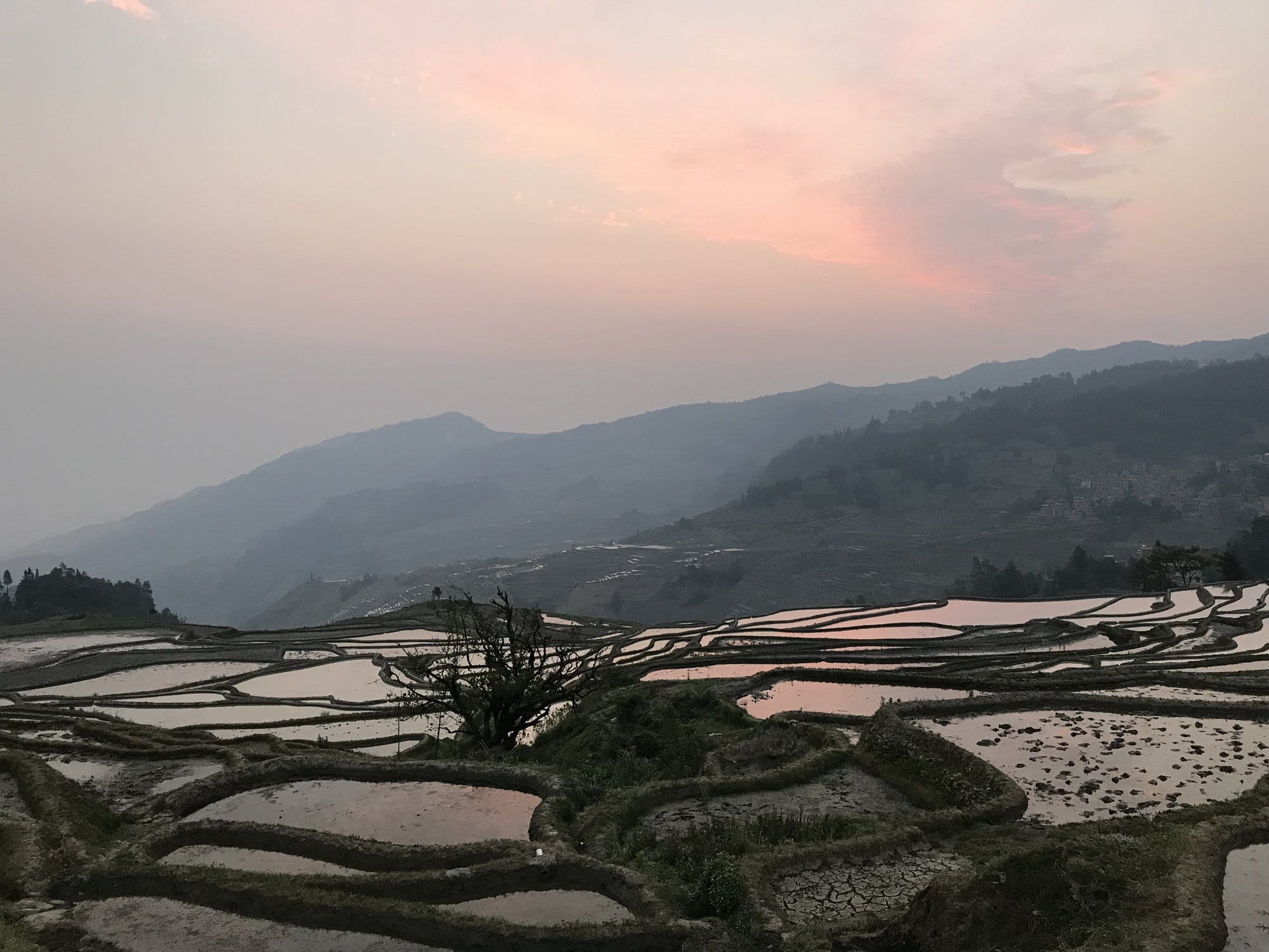 Dawn over the flooded terraces at Duoyishu, the basins still holding a pink sky before the sun clears the far ridge.