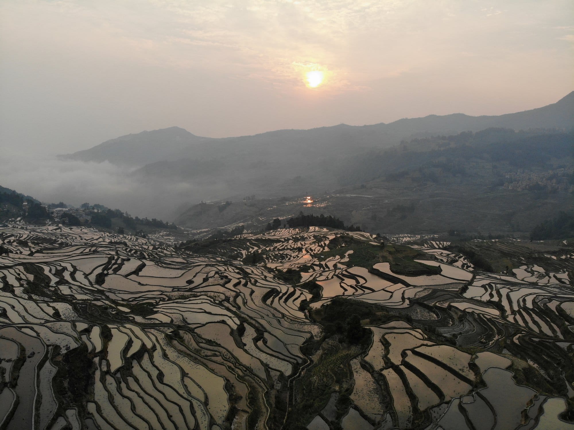 Dawn over the flooded terraces, mist in the side valleys.