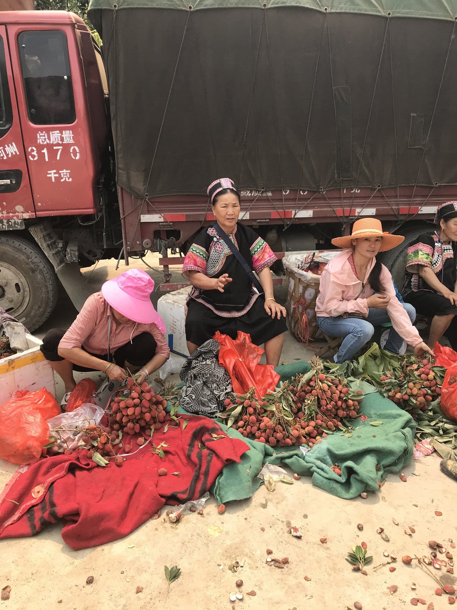 Lychees sold from the back of a truck on the road down to the Red River.