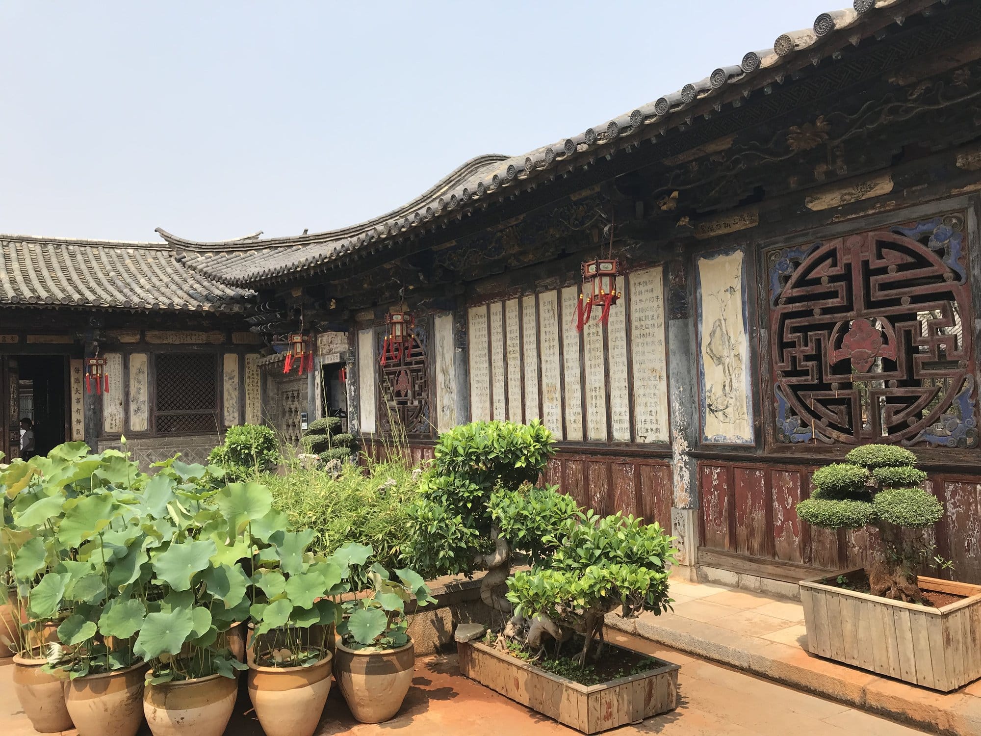 Lotus in glazed pots, bonsai and calligraphed panels along a courtyard gallery.