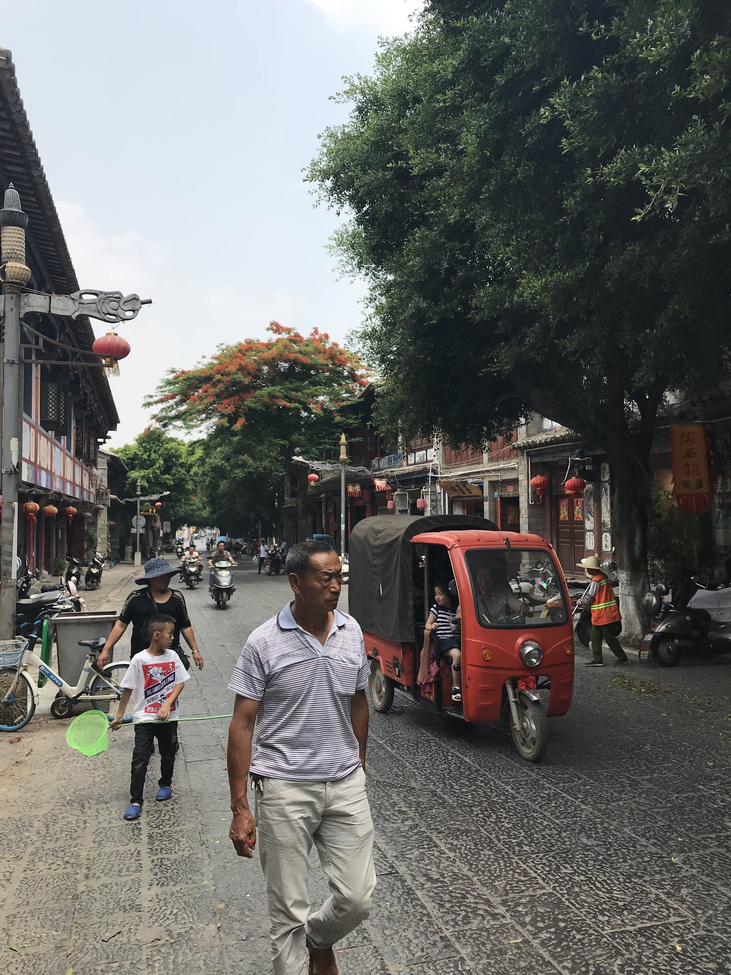 The main street in the afternoon, a flame tree in bloom and a tuk-tuk going past.