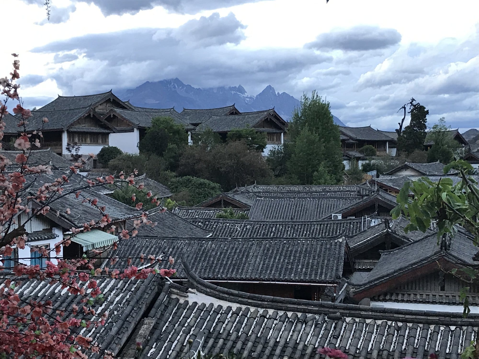 Old town roofs with Jade Dragon Snow Mountain behind and peach blossom in the foreground.