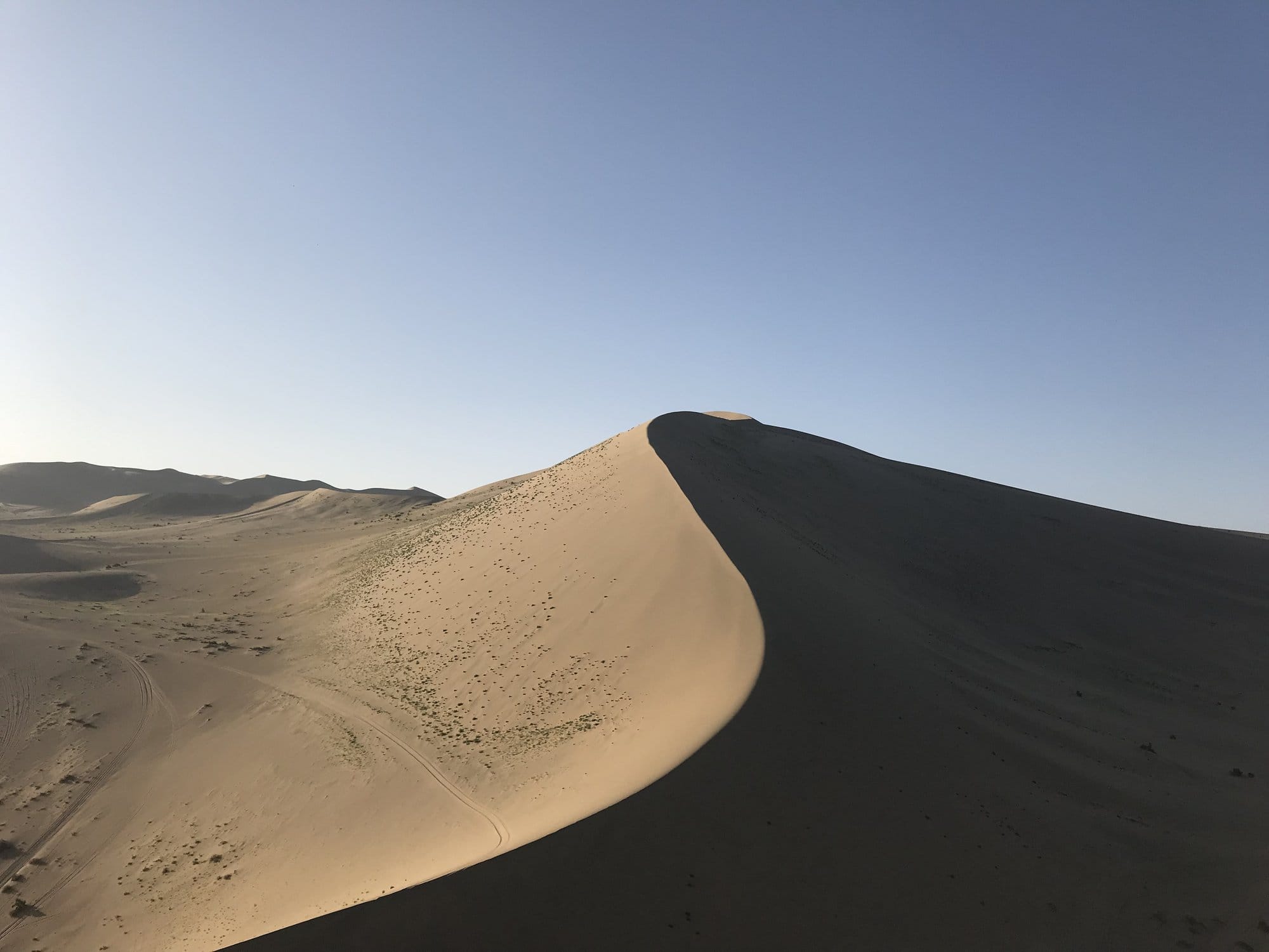 The crest of a large dune dividing light from shadow, with smaller dunes behind and tufts of grass on the slope.