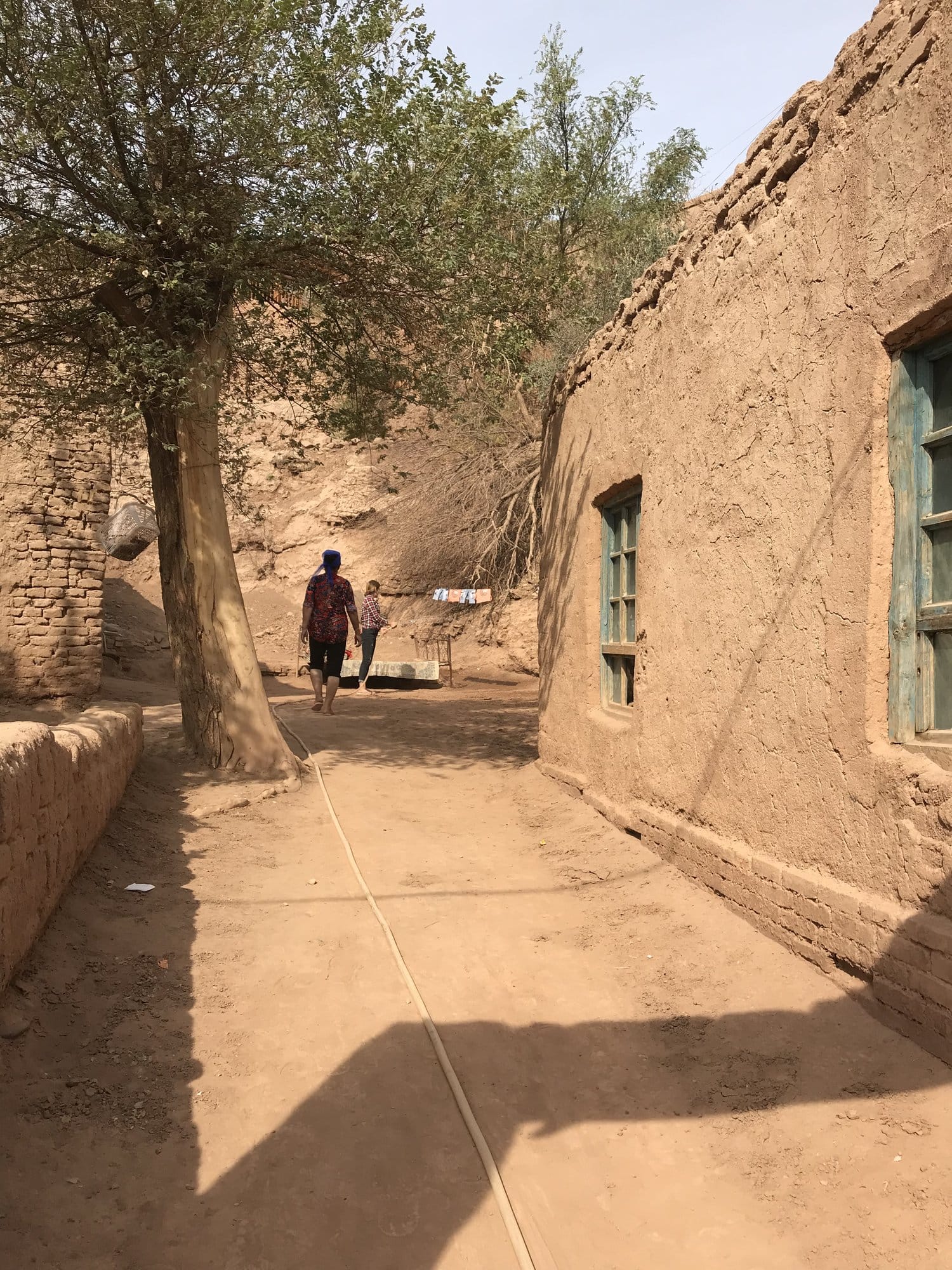 A dirt lane between pisé houses with blue window frames, a large tree at the far end.