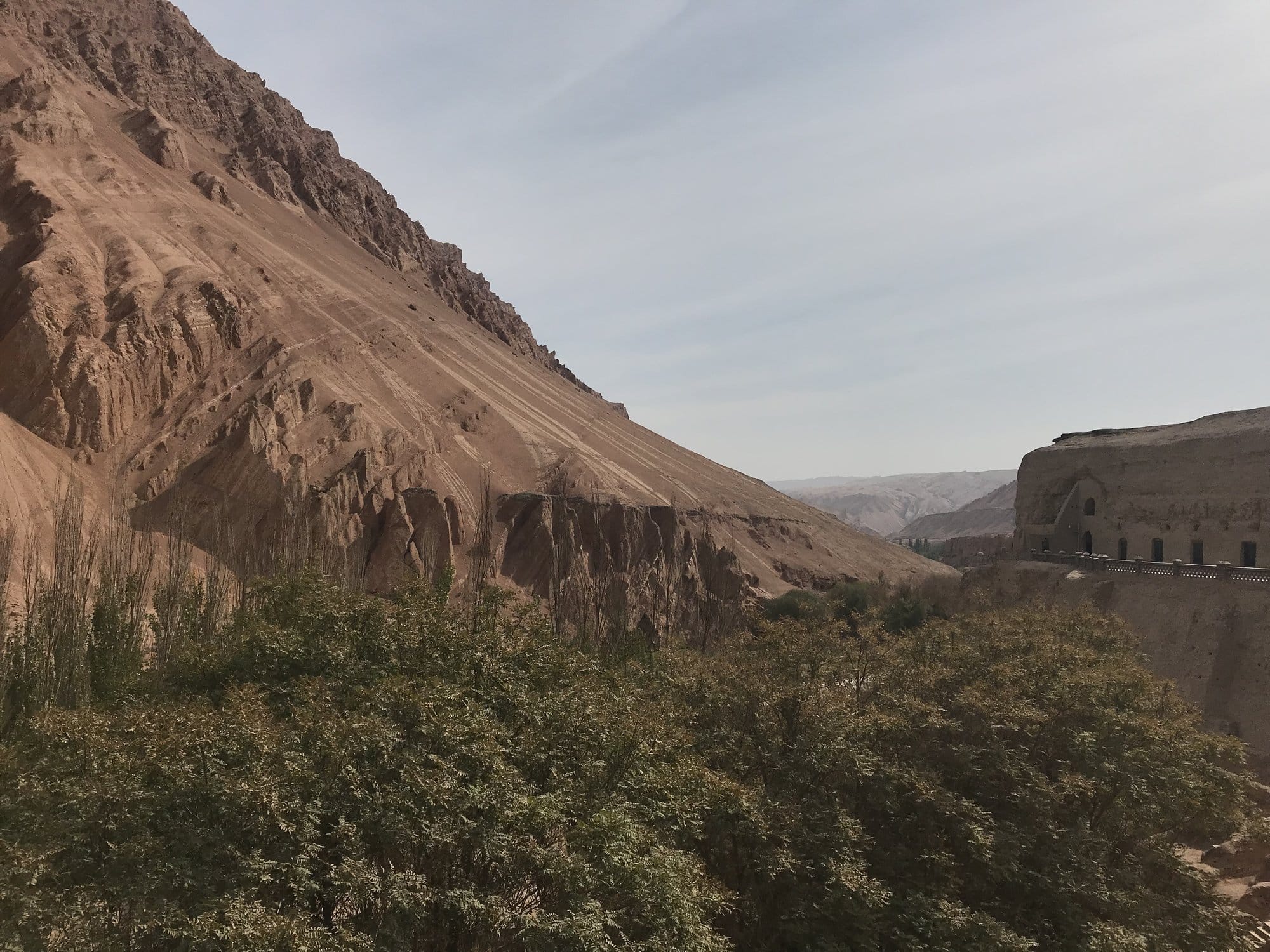 The eroded ochre flank of the cliff at Bezeklik, green scrub in front and cave buildings cut into the rock.
