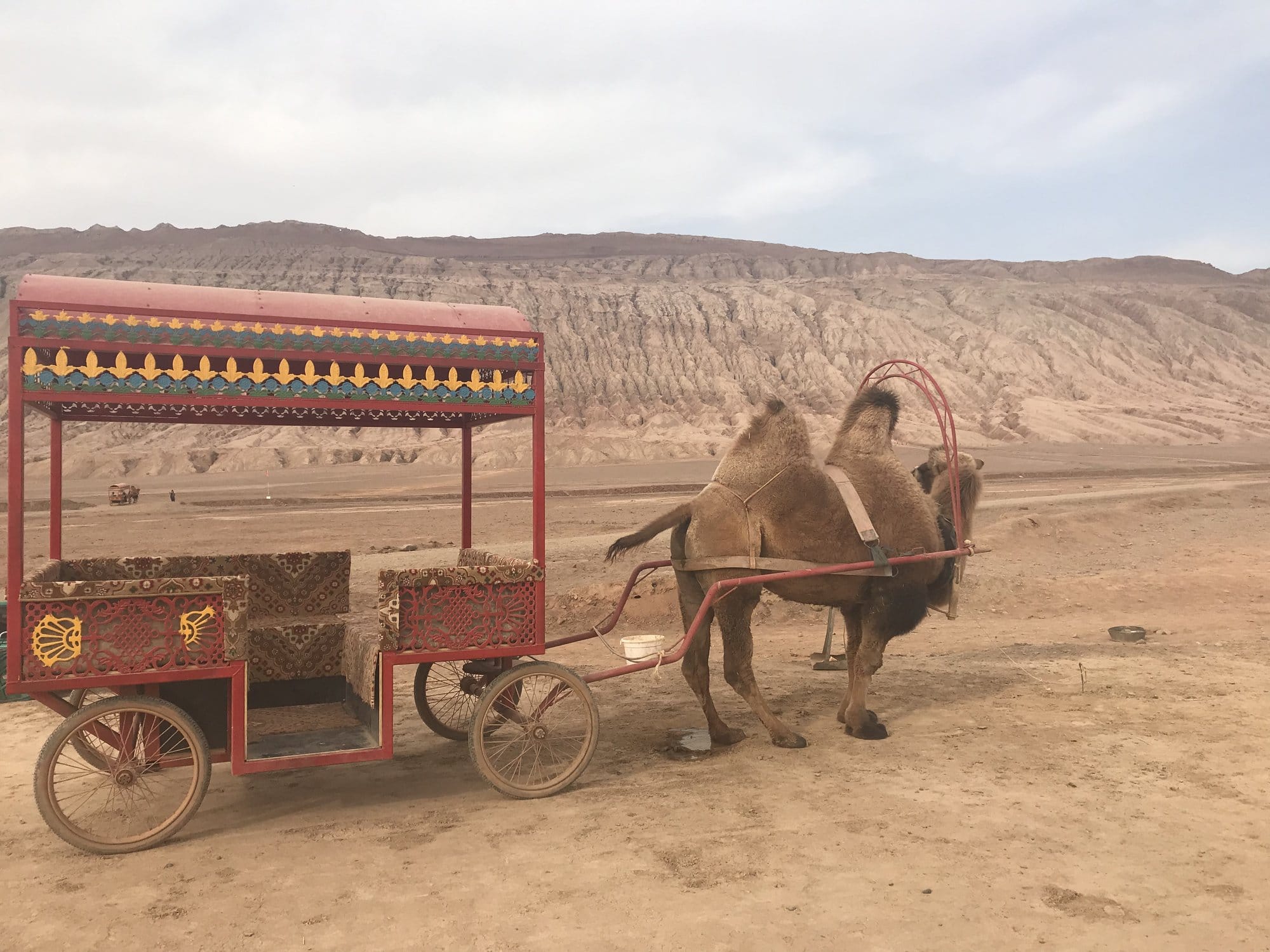A red painted cart harnessed to a Bactrian camel on the sand in front of the striped hills.