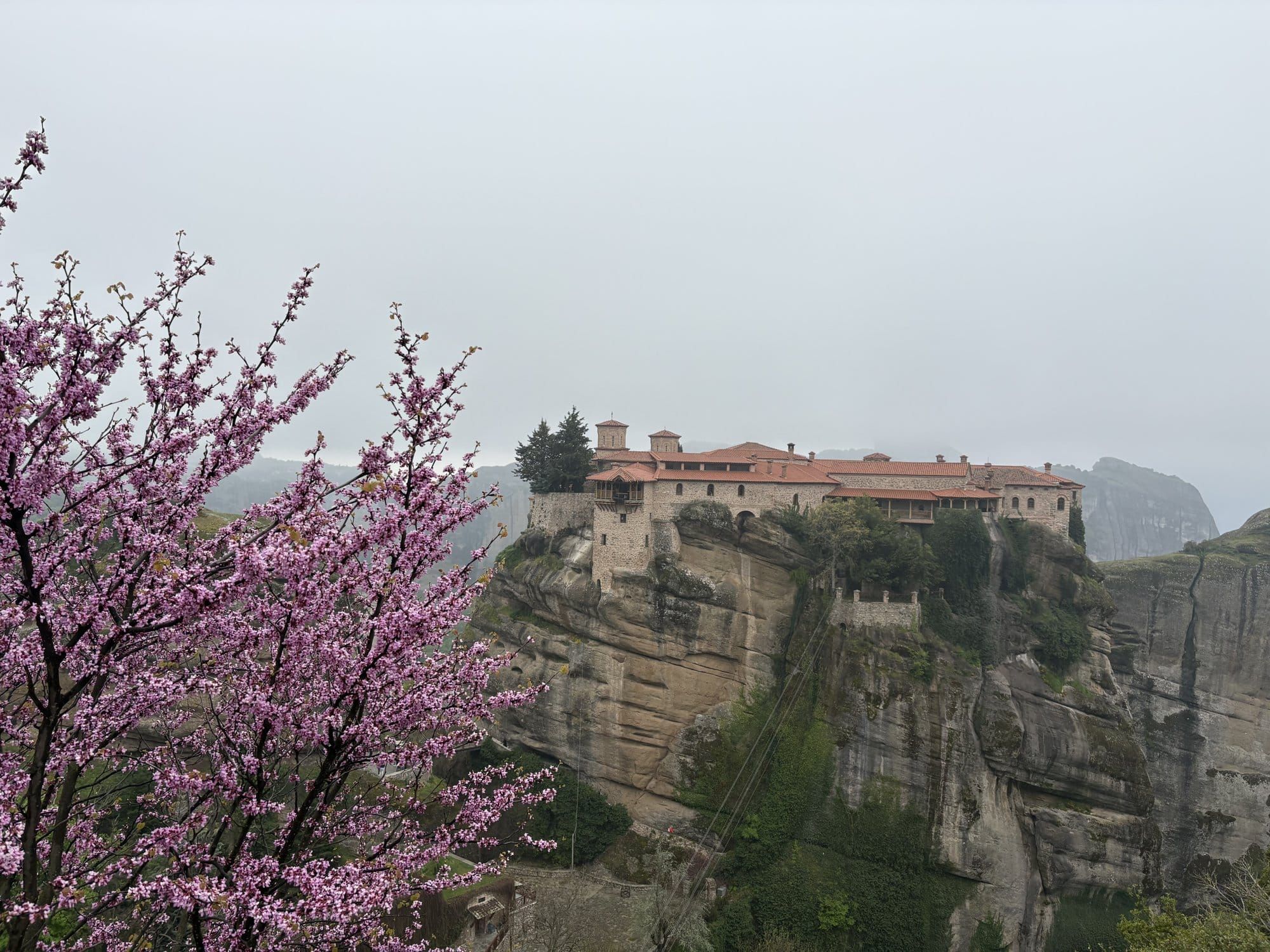 Varlaam monastery framed by a pink-blossom Judas tree on a misty April morning — Meteora, Greece