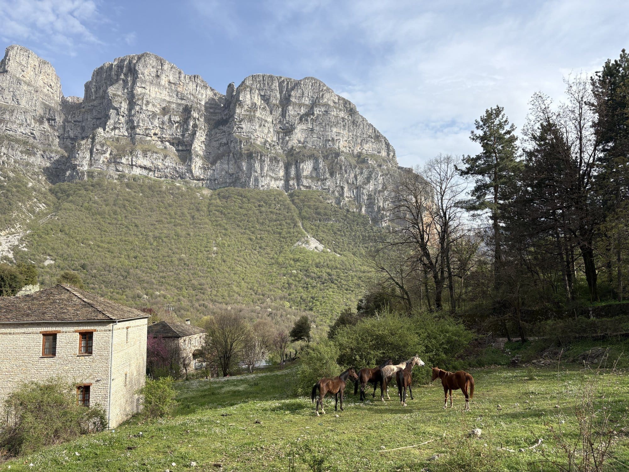 View of the Astraka towers and Mikro Papingo, the base for the four easy Zagori walks