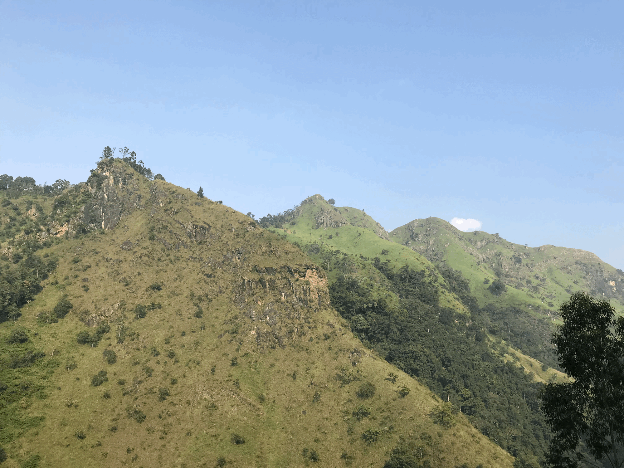 Sri Lanka : itinéraire famille de 10 jours