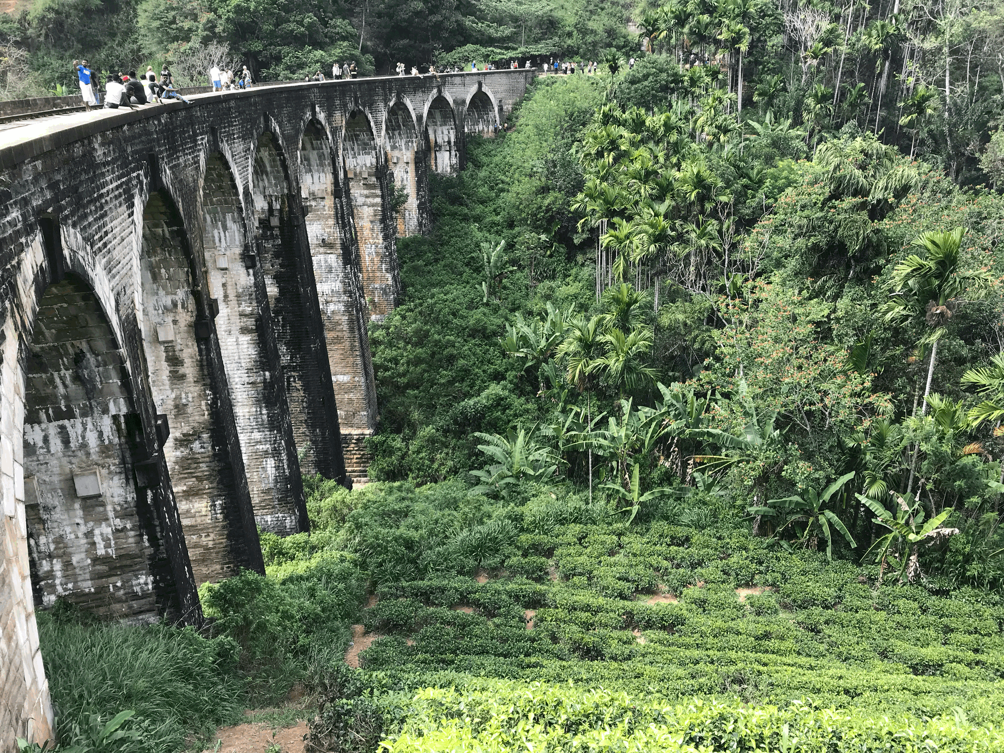 Ella : Nine Arch Bridge, cascades et World's End