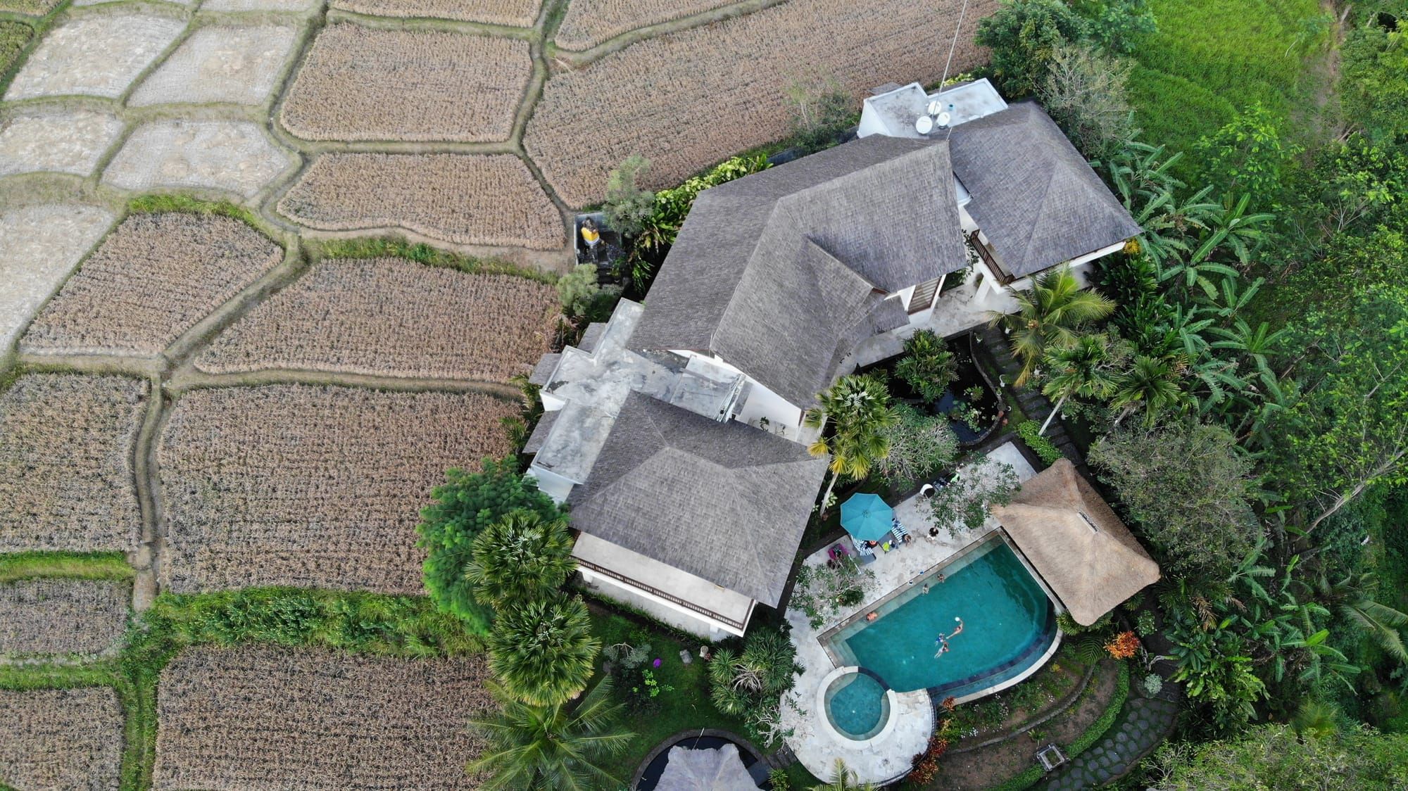 A Slow Villa Week in Penestanan, Ubud: Pools, Rice Fields and a Drone-Eye View