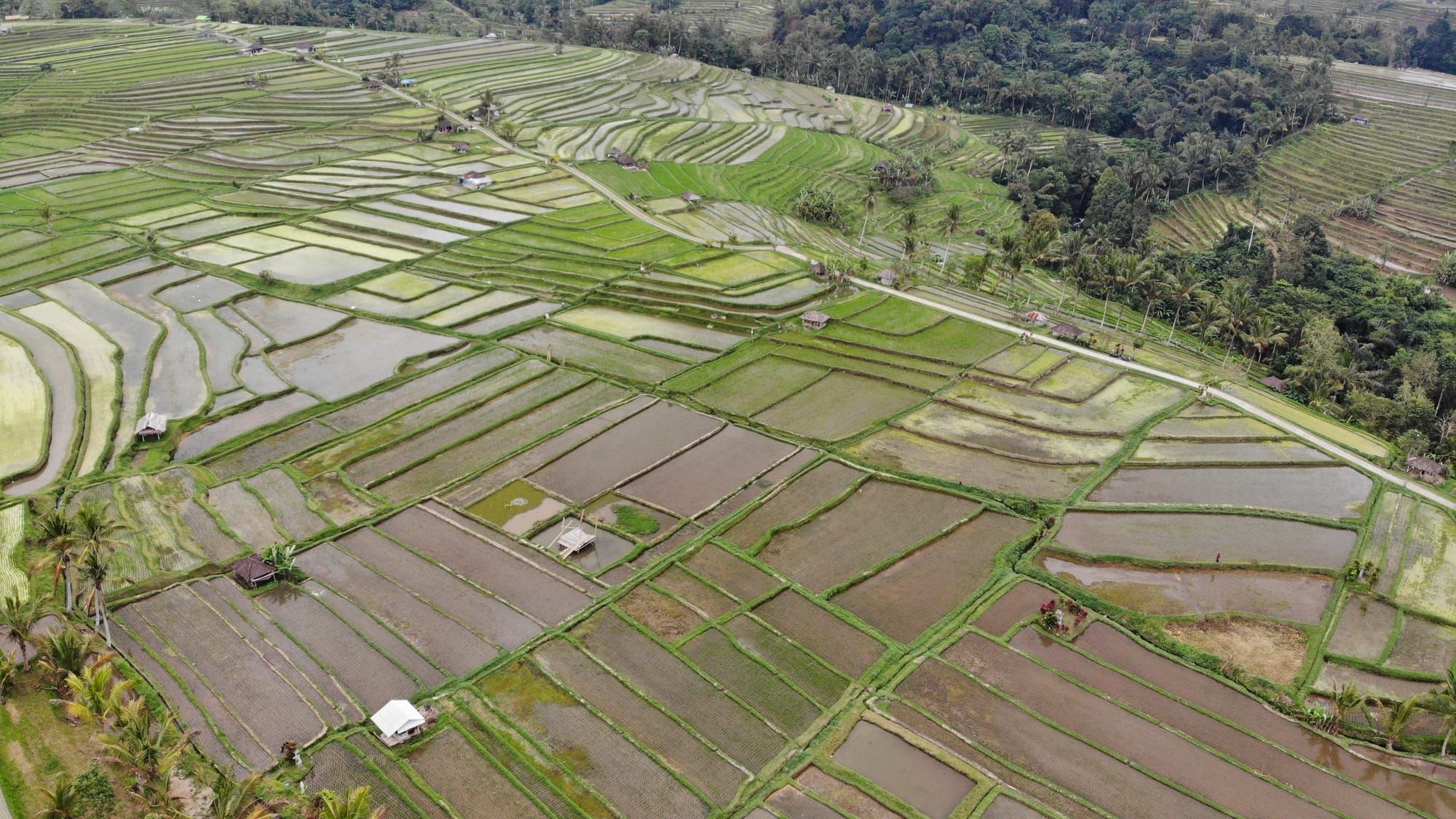 East Bali Beyond the Crowds: Amed Black-Sand Beaches, Tirta Gangga and the Gateway to Heaven