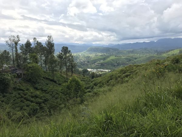 Nuwara Eliya & the Hill Country: Tea, Trains & Colonial Charm