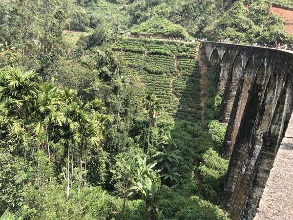Ella: Waterfalls, Nine Arch Bridge & World's End