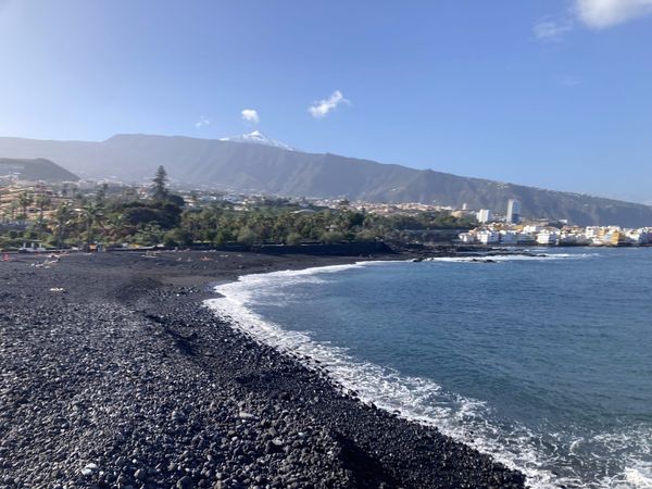A sweeping view of Playa Jardín in Puerto de la Cruz, a curved black-sand beach lined with palm trees and tropical gardens, with the snow-capped Teide volcano in the background — Tenerife