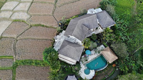 A Slow Villa Week in Penestanan, Ubud: Pools, Rice Fields and a Drone-Eye View