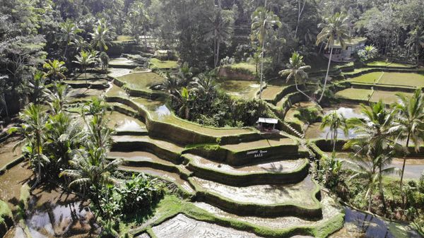 Beyond Ubud: Sidemen Valley, Munduk Waterfalls, Tegalalang Rice Terraces and the South Coast