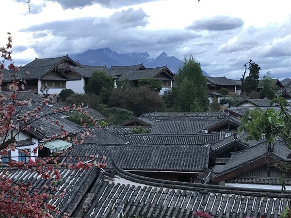 Yunnan Itinerary: 11 Days from the Rice Terraces to Shangri-La