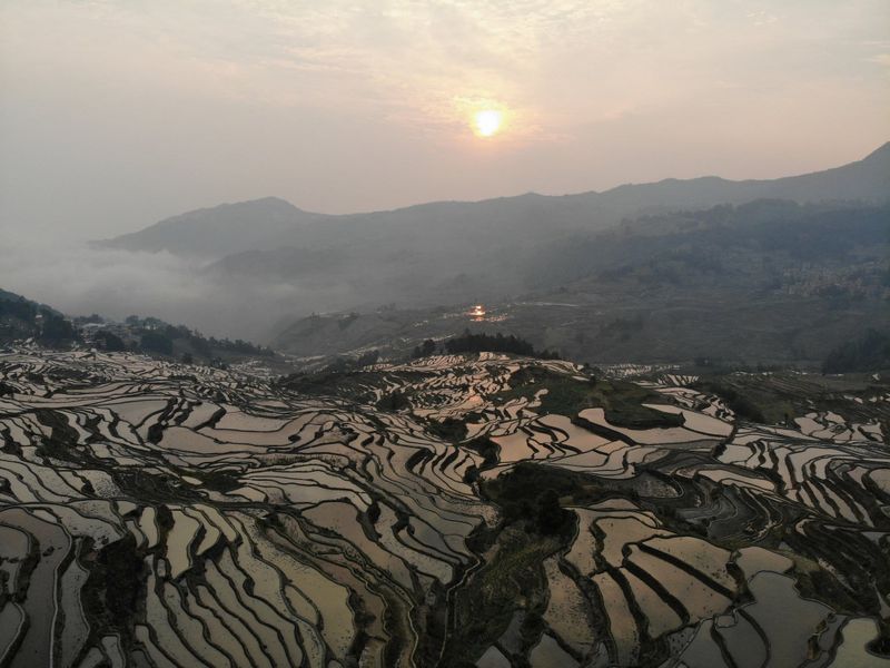 Flooded Hani rice terraces at Yuanyang at sunrise
