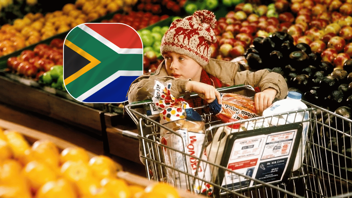 Boxer keeps building as cheaper food slows its sales