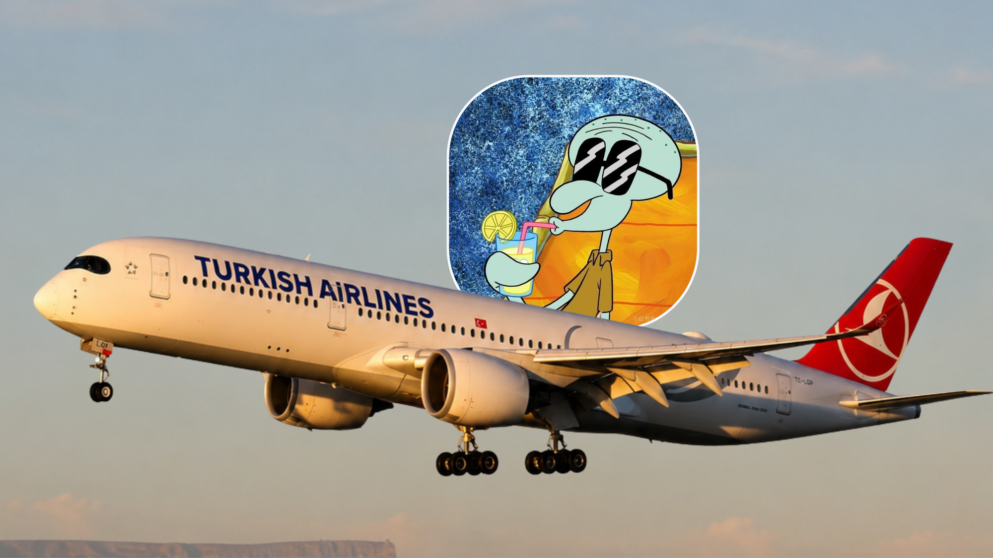 Turkish Airlines is flying more South Africans to its Istanbul hub