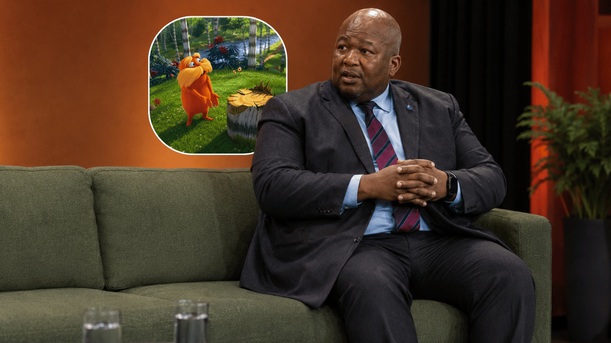 Eskom wants to go green — mostly with other people's money